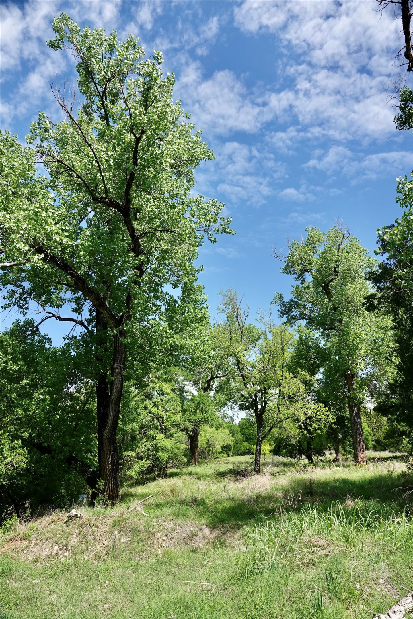 588 S Cr 430 Goldthwaite TX 76844