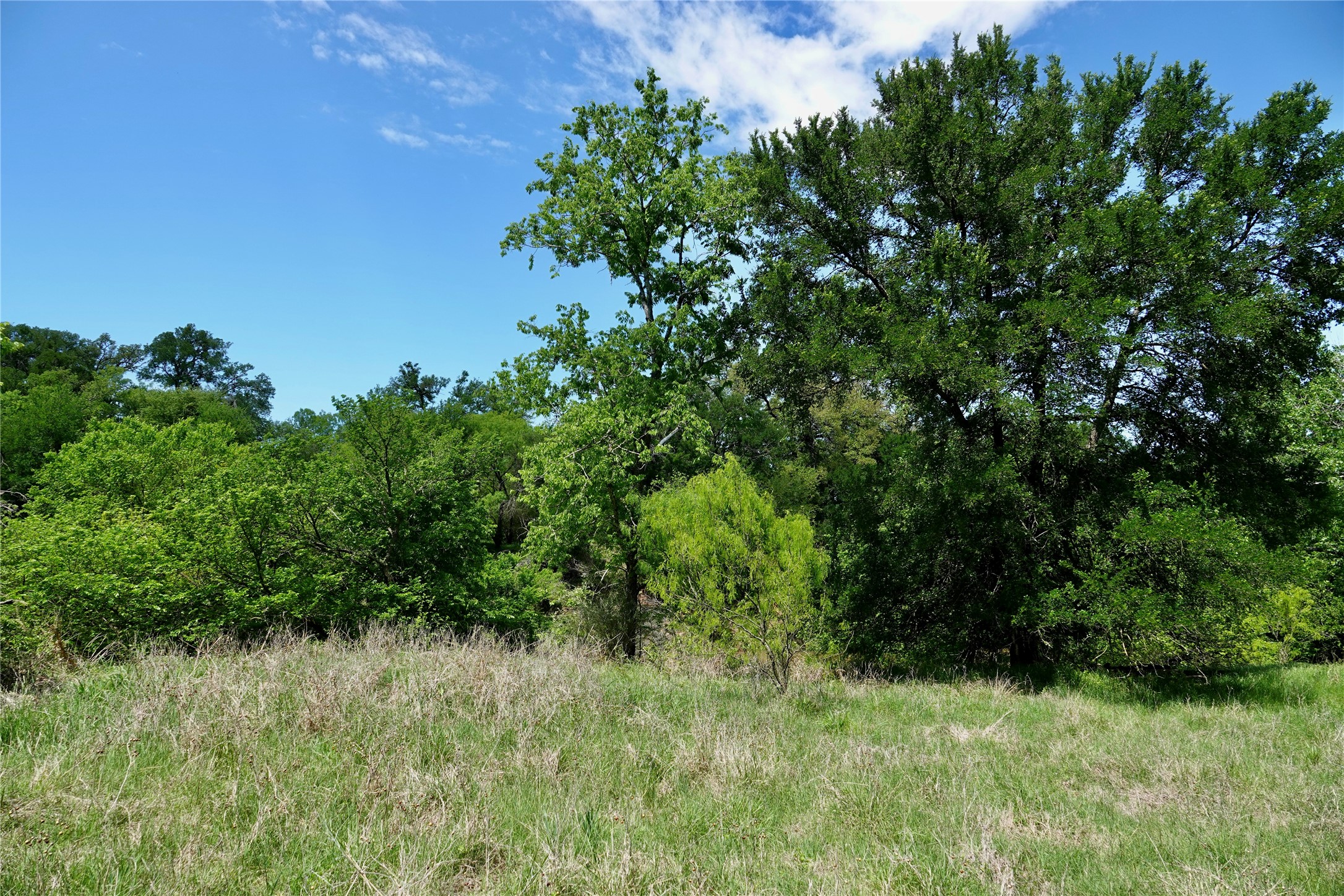 588 S Cr 430 Goldthwaite TX 76844