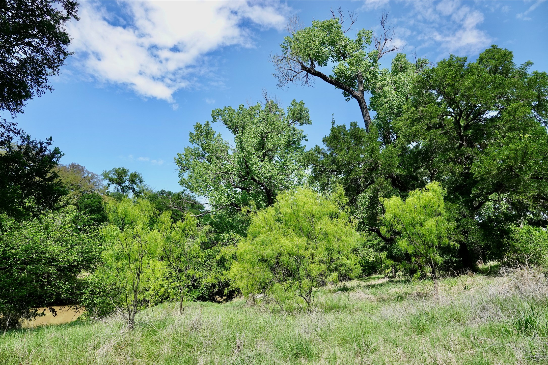 588 S Cr 430 Goldthwaite TX 76844
