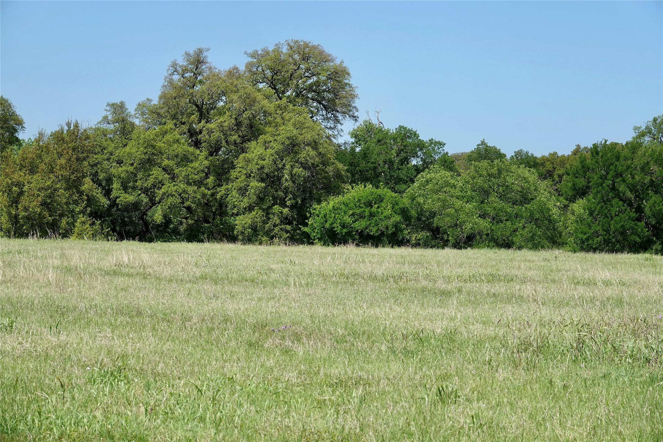 588 S Cr 430 Goldthwaite TX 76844