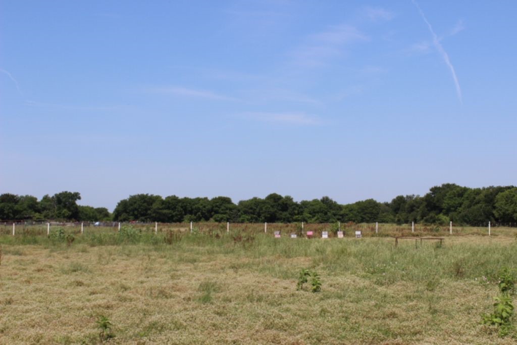 Tbd Terry Lane Sherman TX 75092