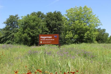 Tbd Terry Lane Sherman TX 75092