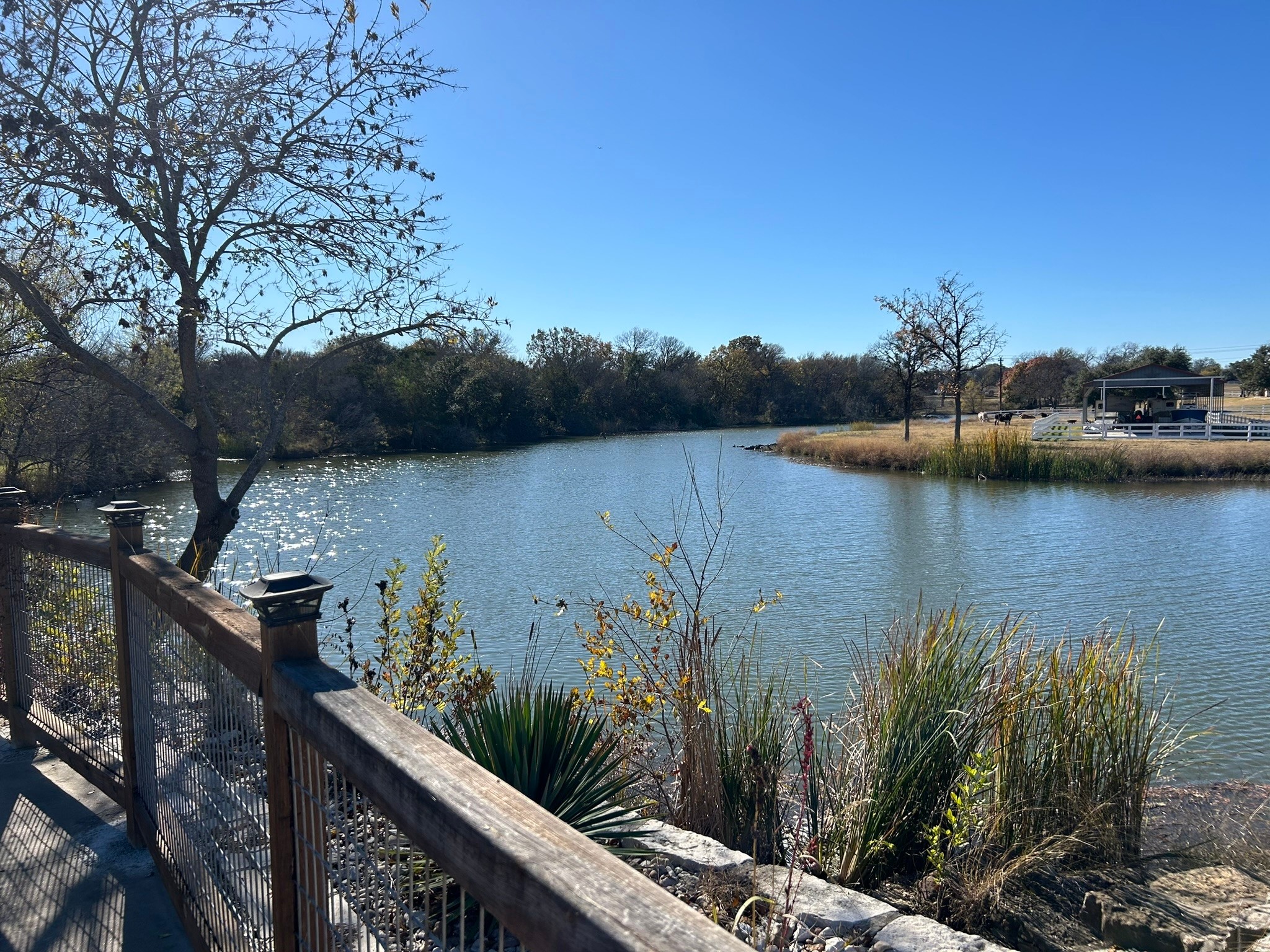 2820 Lucky Pepper Drive Granbury TX 76049