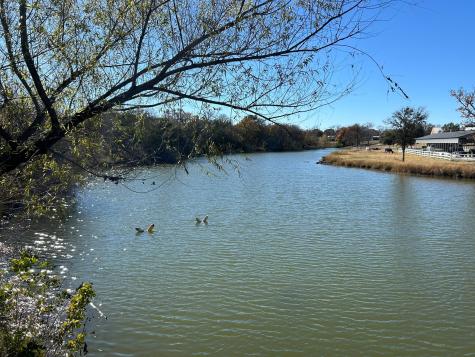 2820 Lucky Pepper Drive Granbury TX 76049