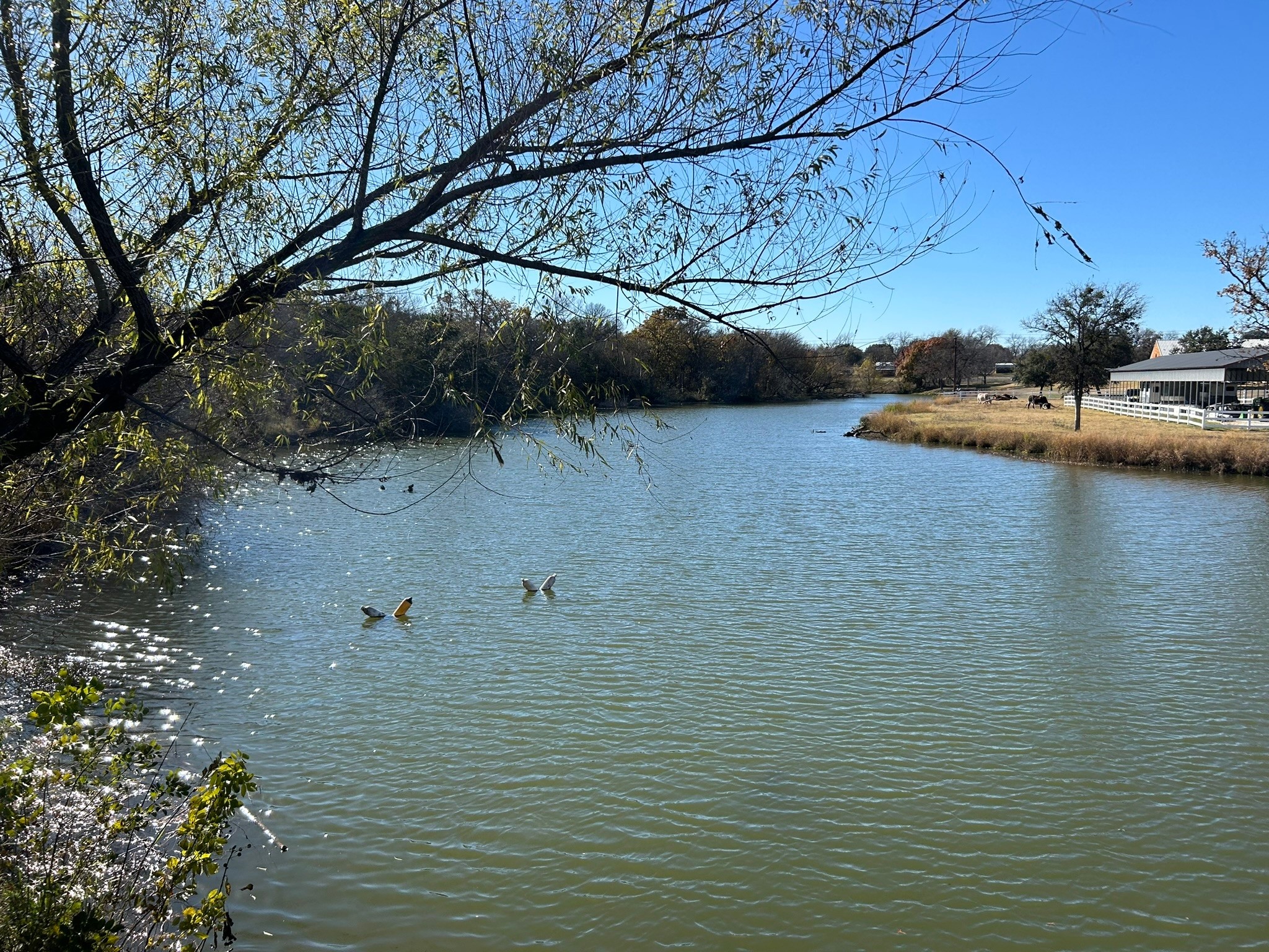 2820 Lucky Pepper Drive Granbury TX 76049