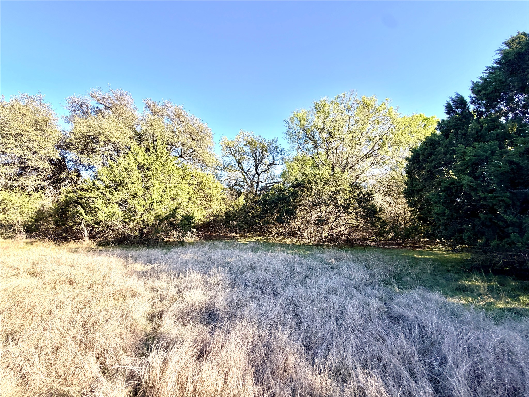 65 County Road 406 Goldthwaite TX 76844