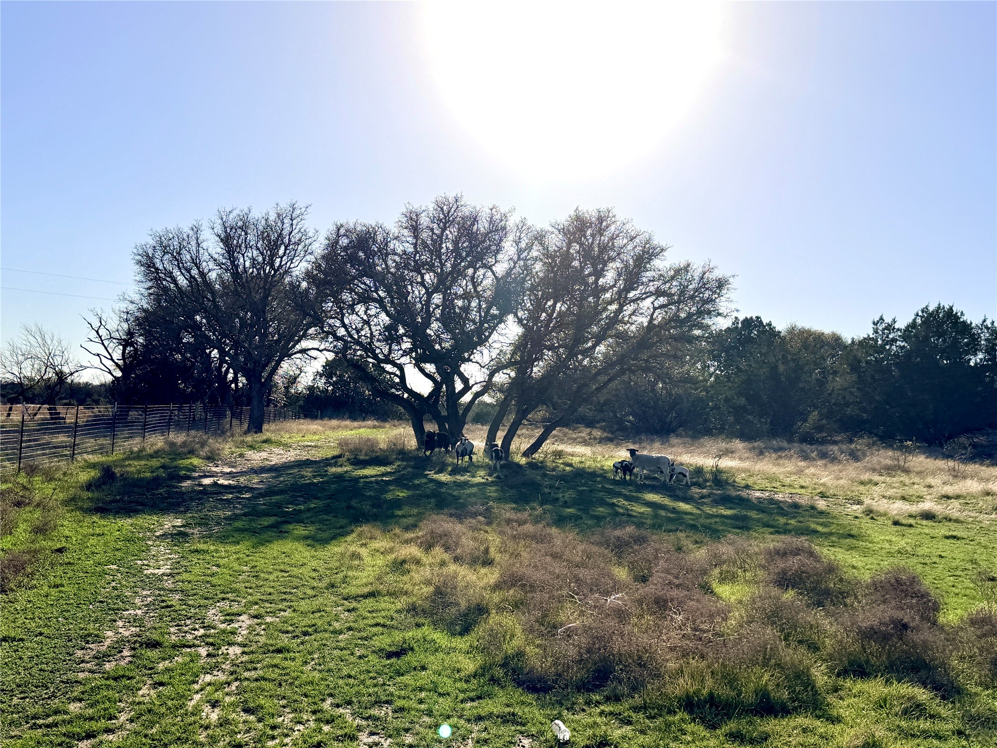 65 County Road 406 Goldthwaite TX 76844
