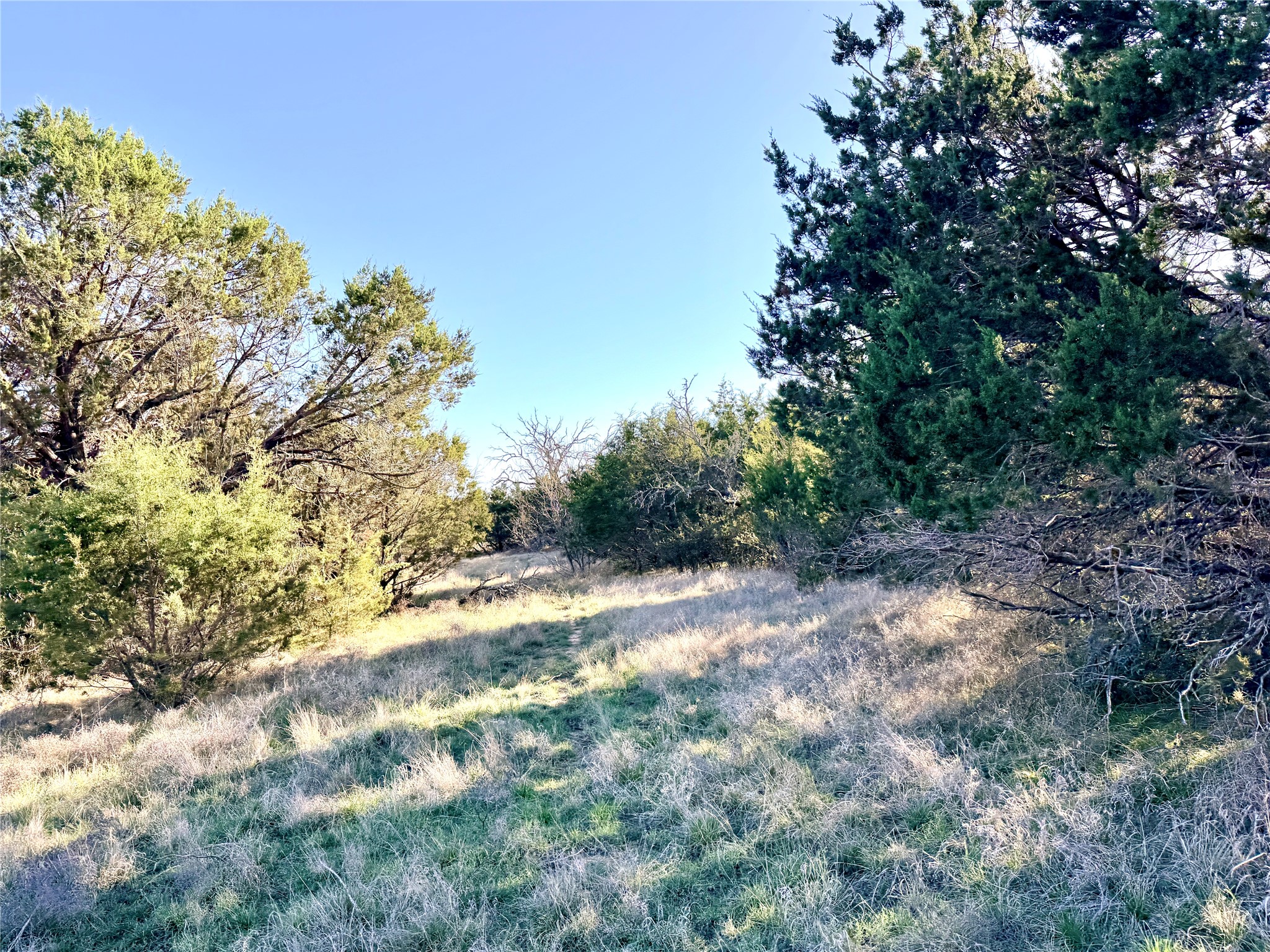 65 County Road 406 Goldthwaite TX 76844