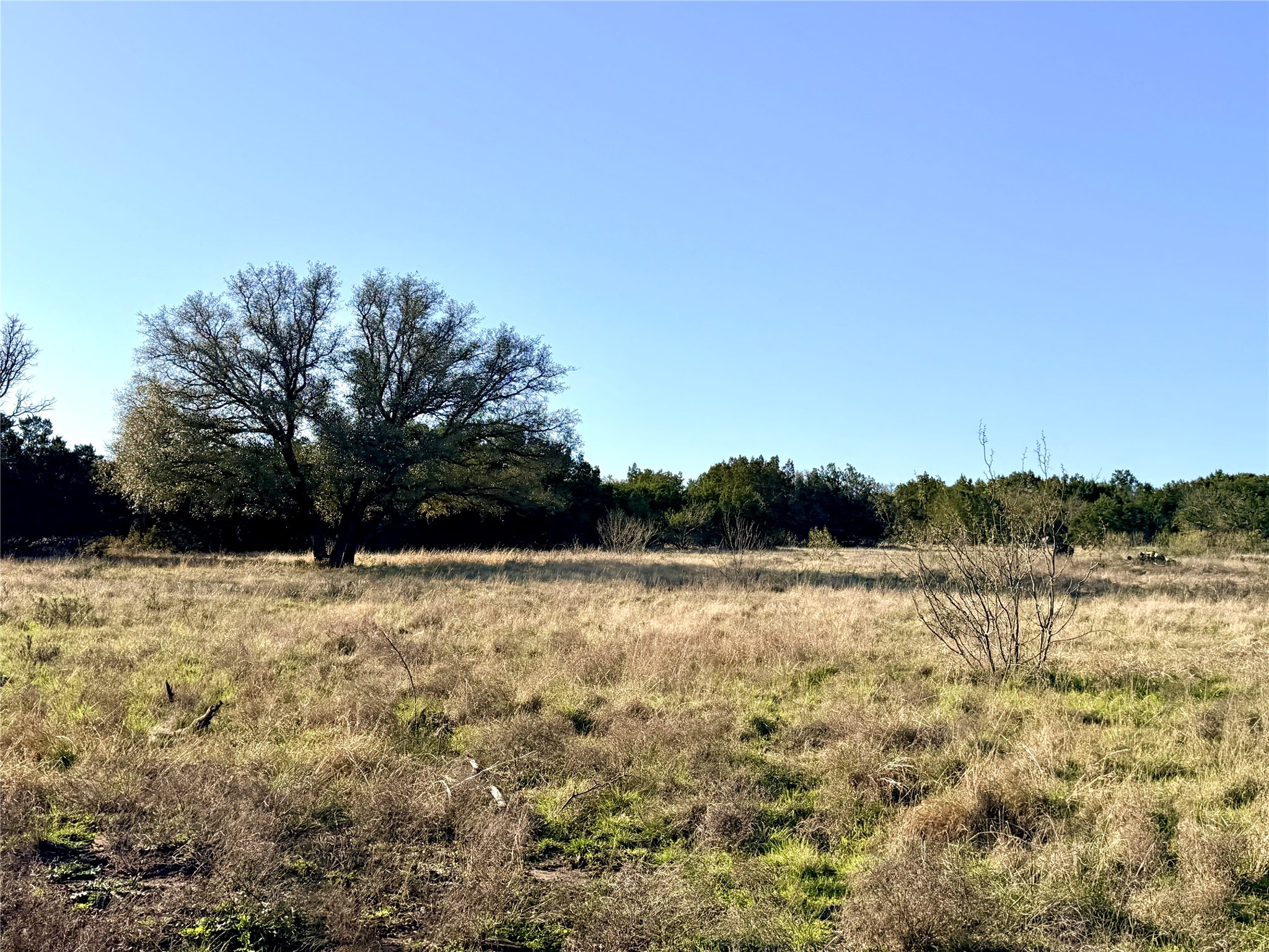 65 County Road 406 Goldthwaite TX 76844