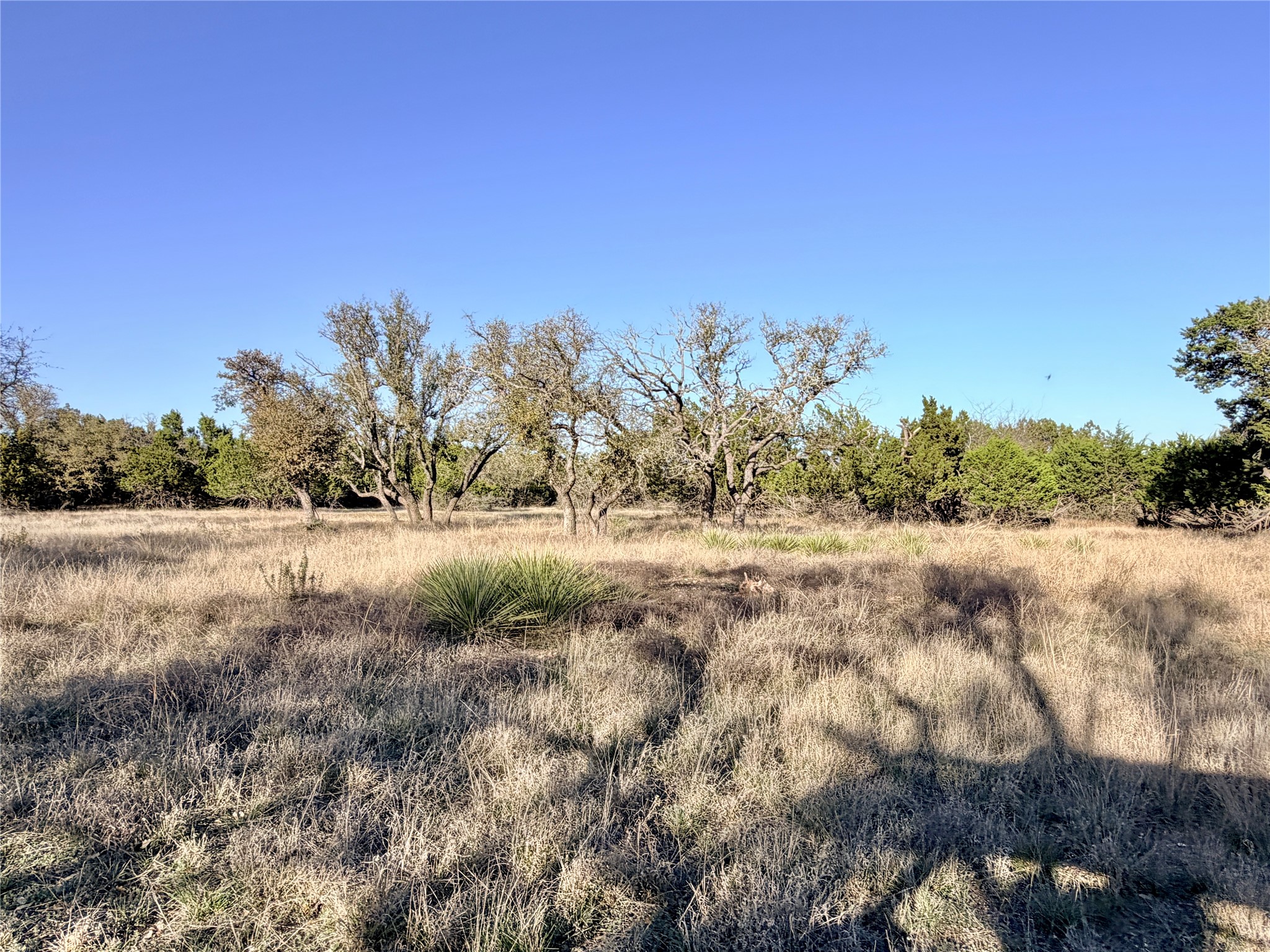 65 County Road 406 Goldthwaite TX 76844
