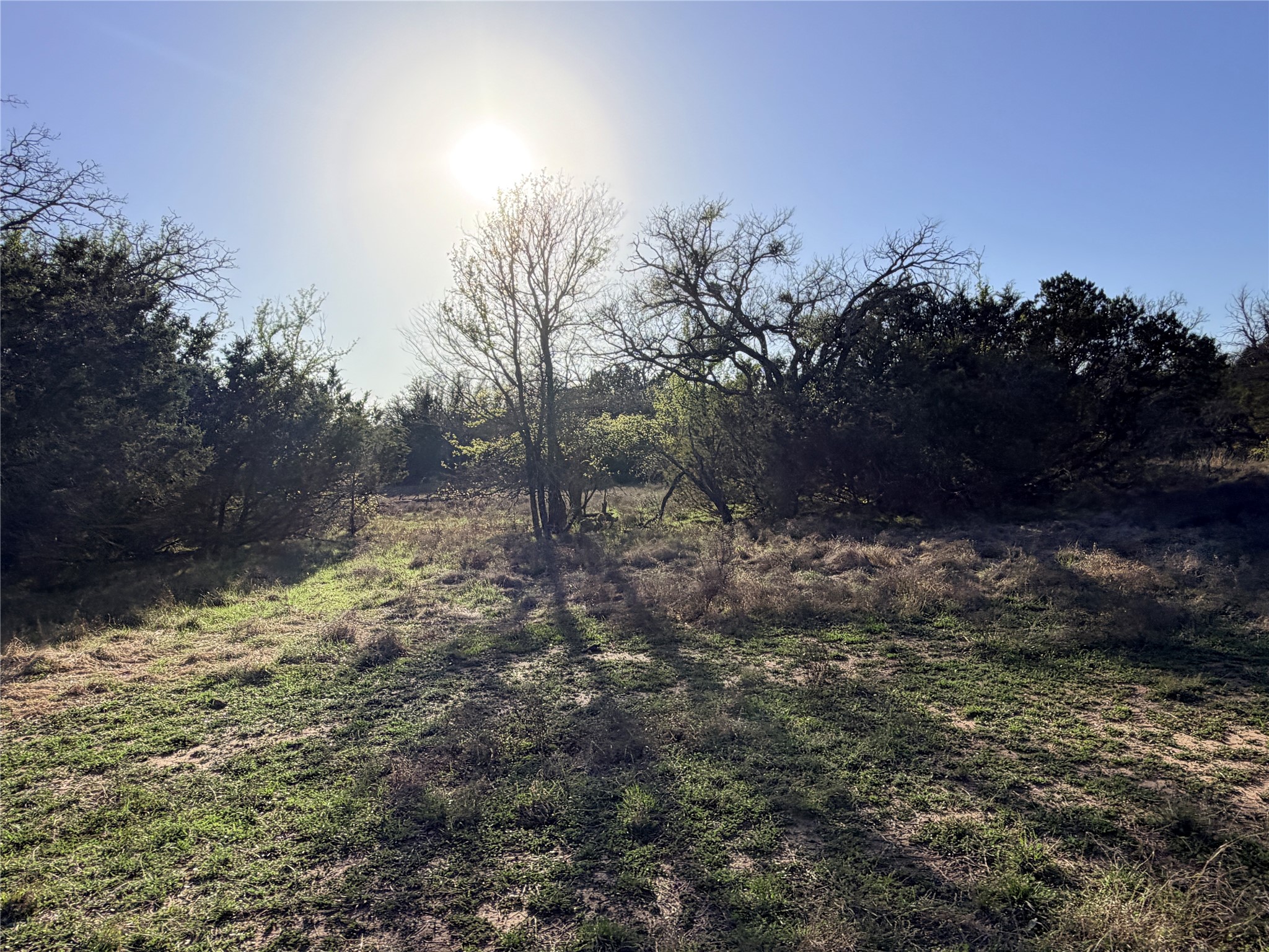 65 County Road 406 Goldthwaite TX 76844