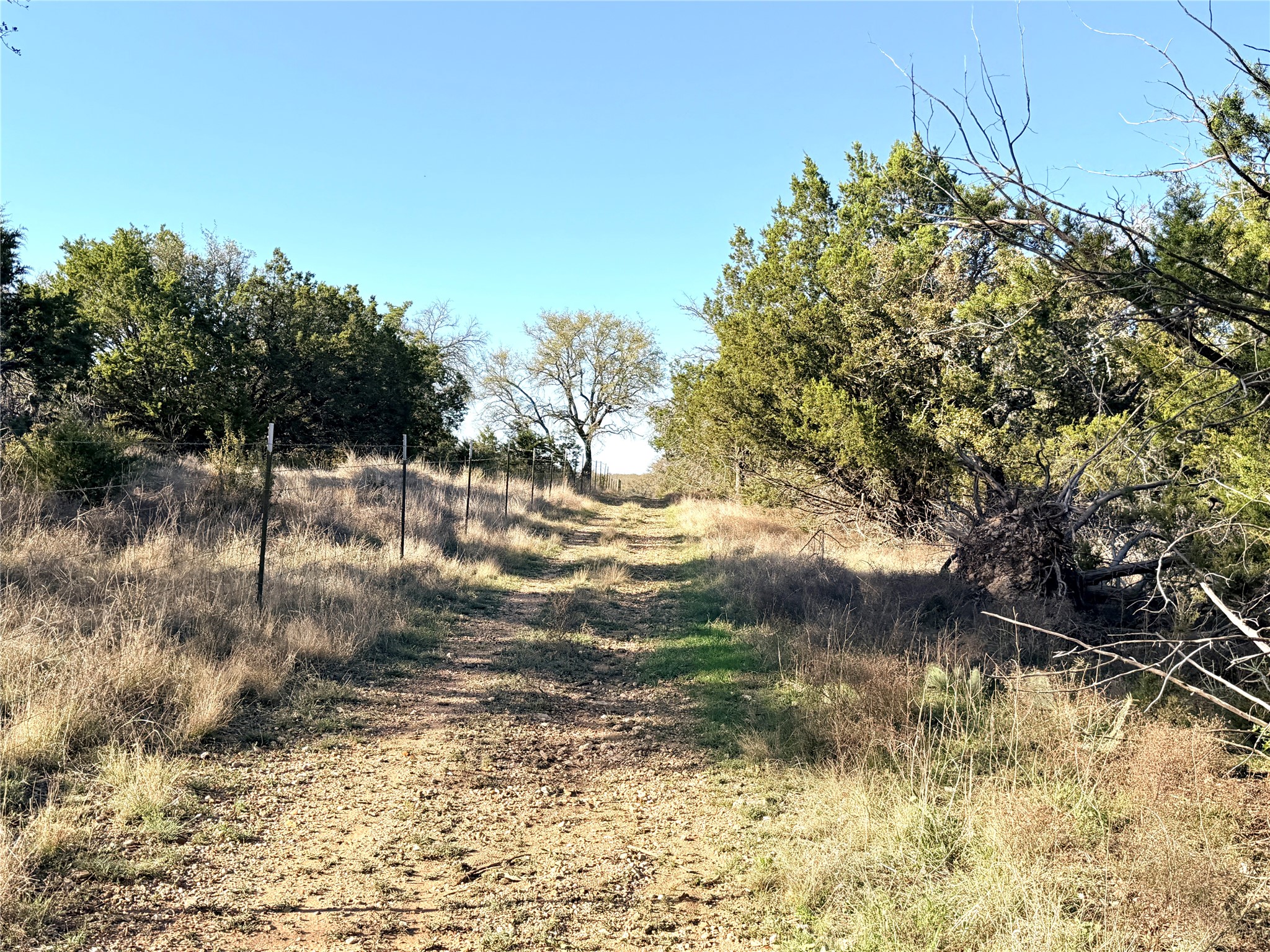 65 County Road 406 Goldthwaite TX 76844