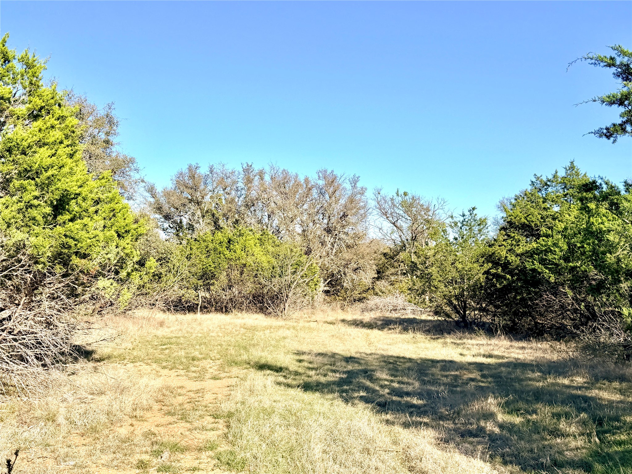 65 County Road 406 Goldthwaite TX 76844