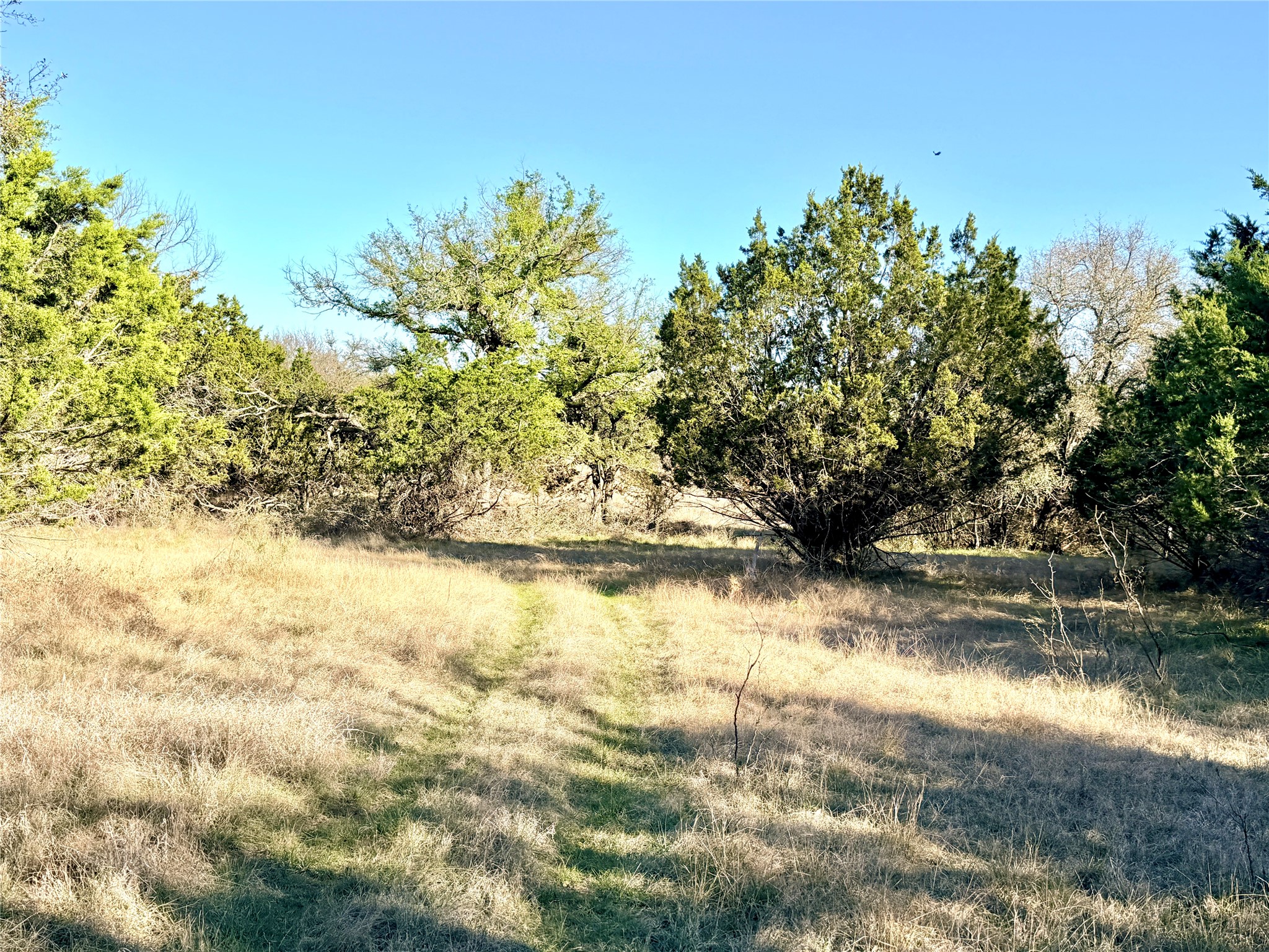 65 County Road 406 Goldthwaite TX 76844