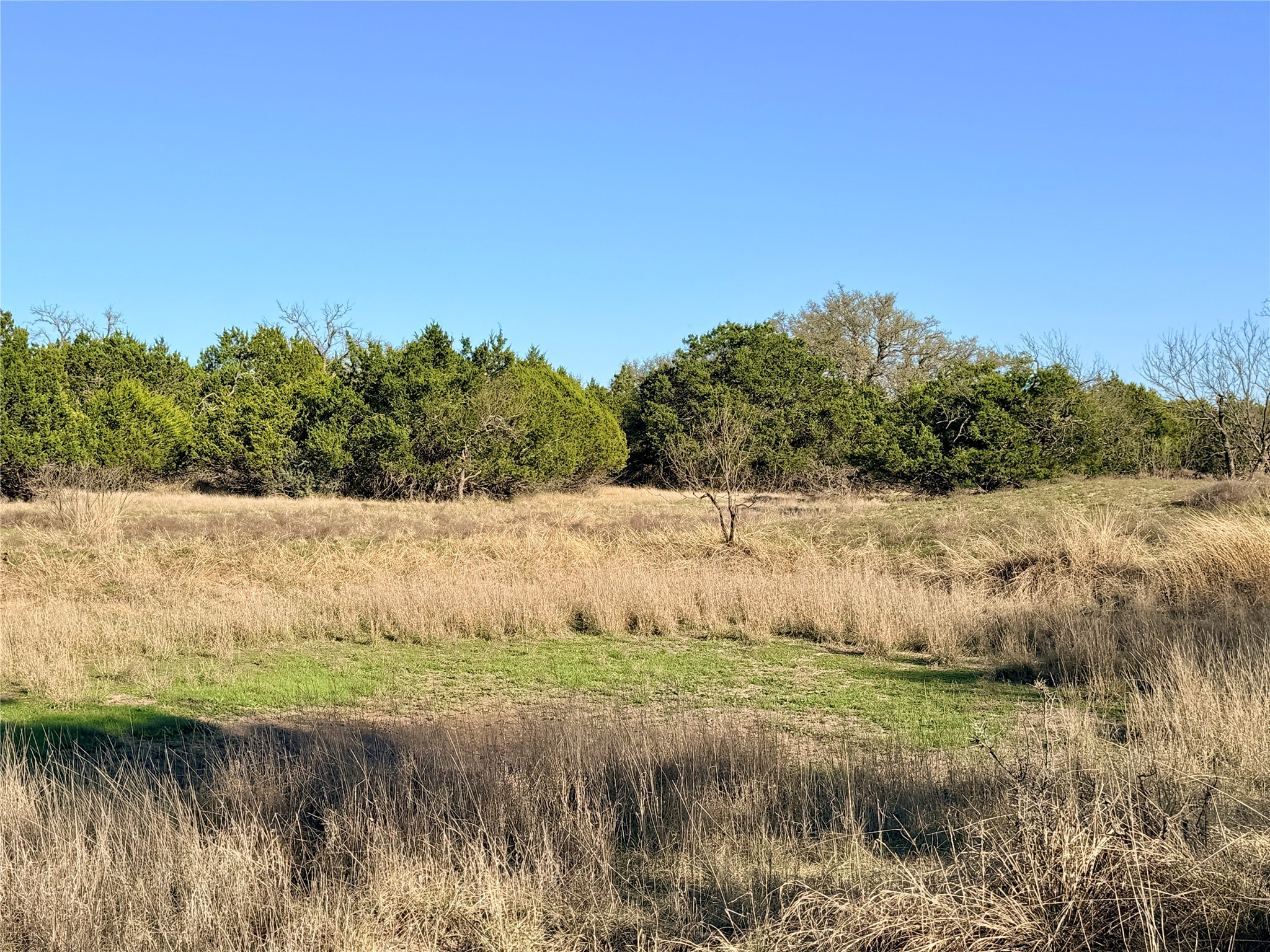 65 County Road 406 Goldthwaite TX 76844