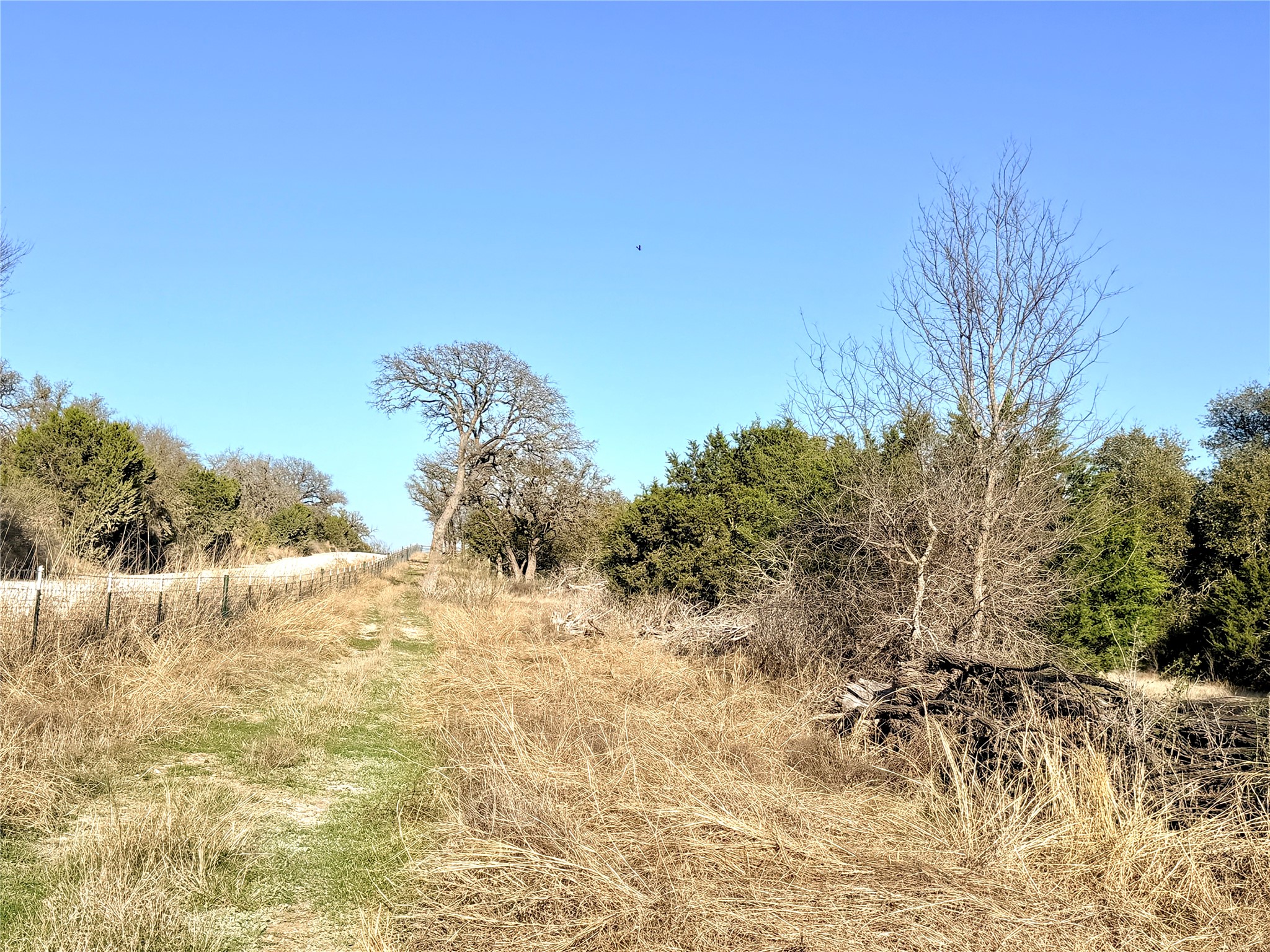65 County Road 406 Goldthwaite TX 76844