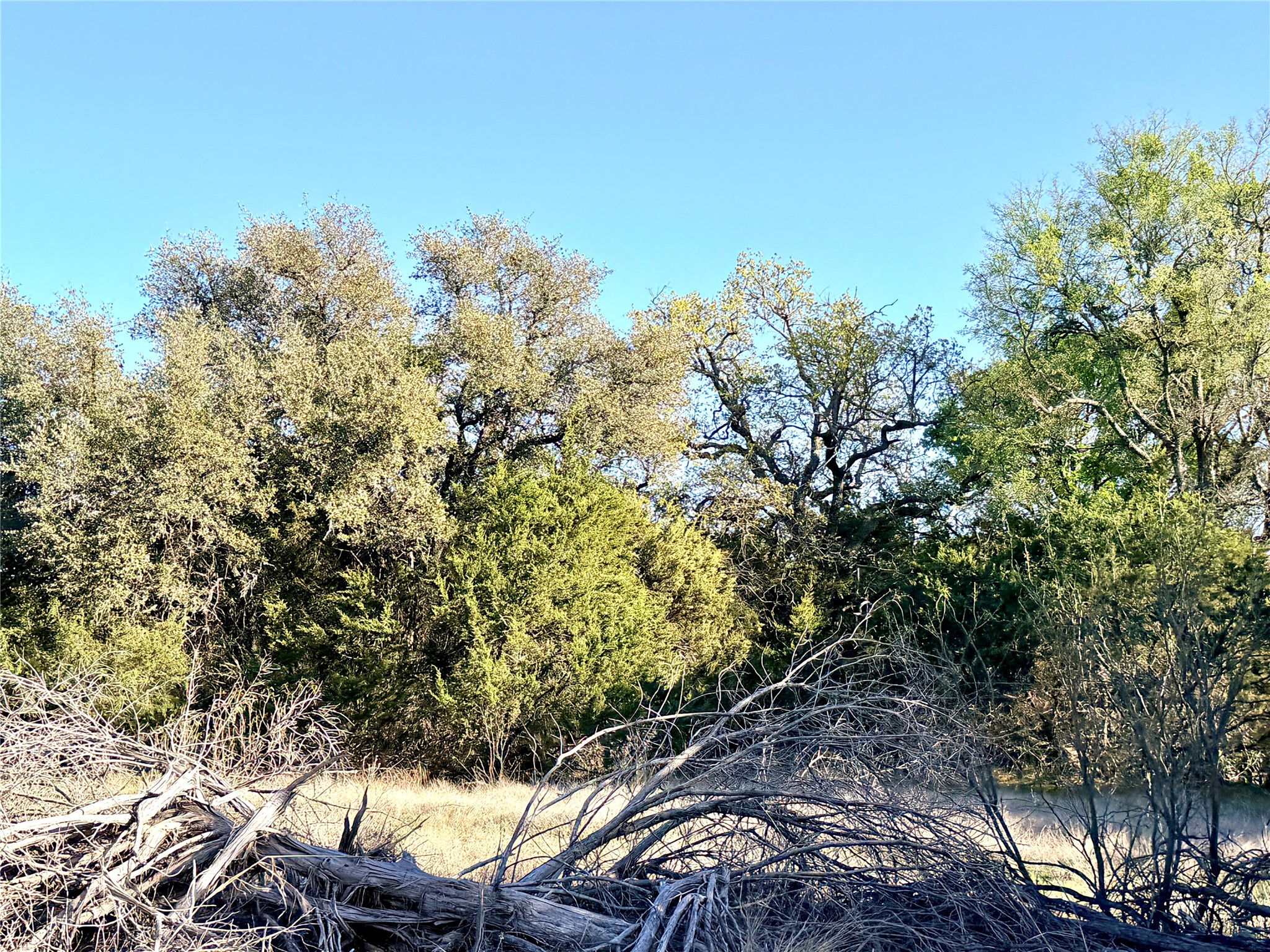65 County Road 406 Goldthwaite TX 76844