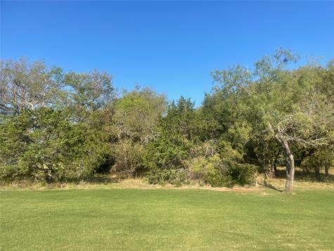 42086 Crooked Stick Drive Whitney TX 76692