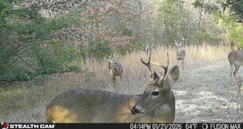 0000 County Road 1850 N Talco TX 75487