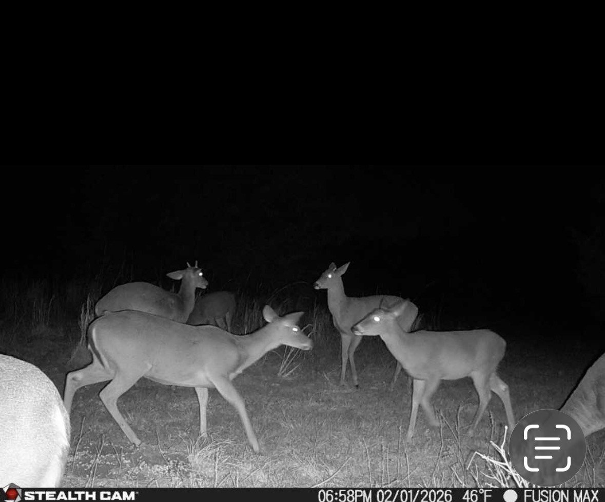 0000 County Road 1850 N Talco TX 75487