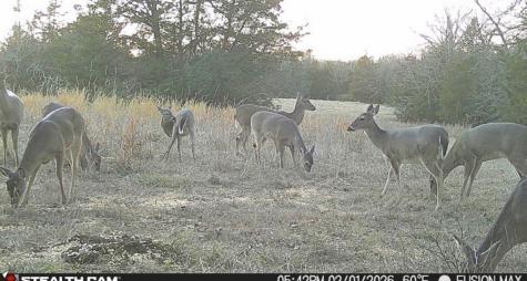 0000 County Road 1850 N Talco TX 75487