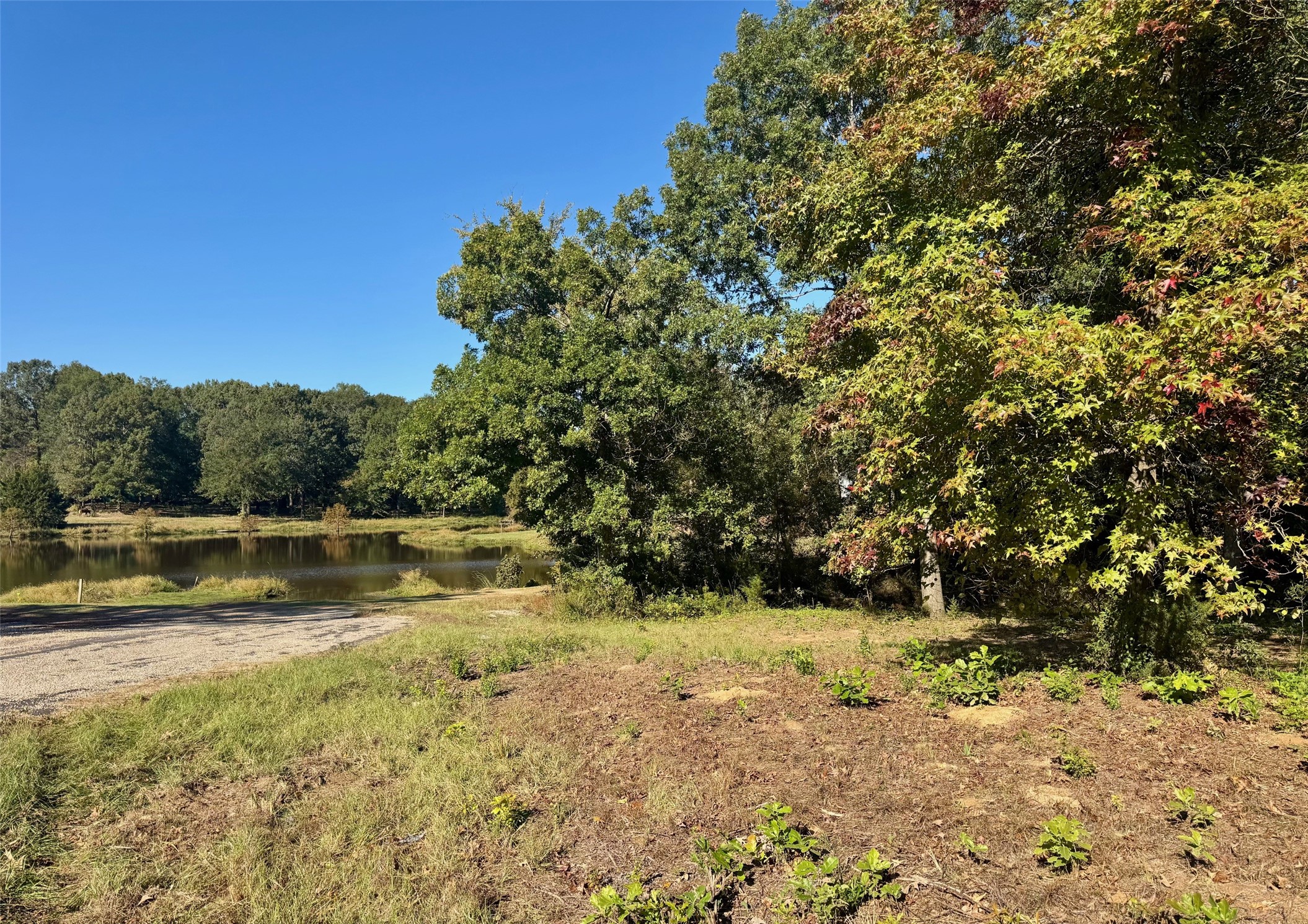 Lot 18 County Road 1216 Pittsburg TX 75686