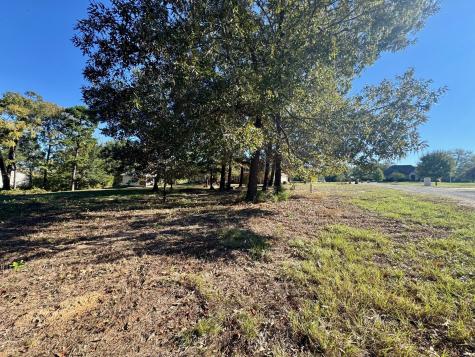 Lot 18 County Road 1216 Pittsburg TX 75686