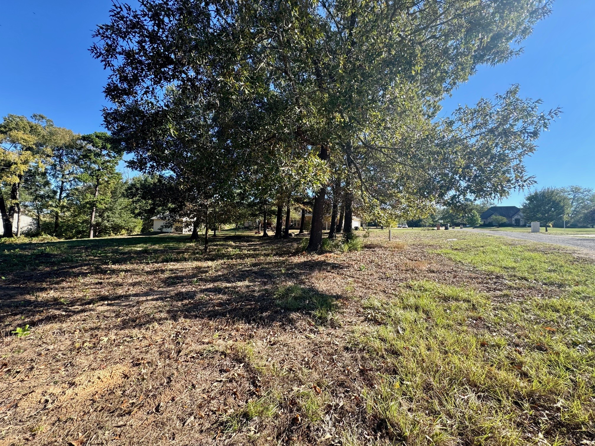 Lot 18 County Road 1216 Pittsburg TX 75686