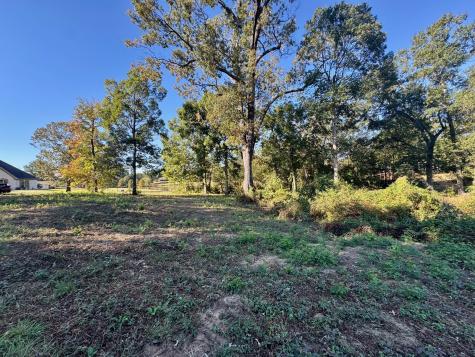 Lot 18 County Road 1216 Pittsburg TX 75686