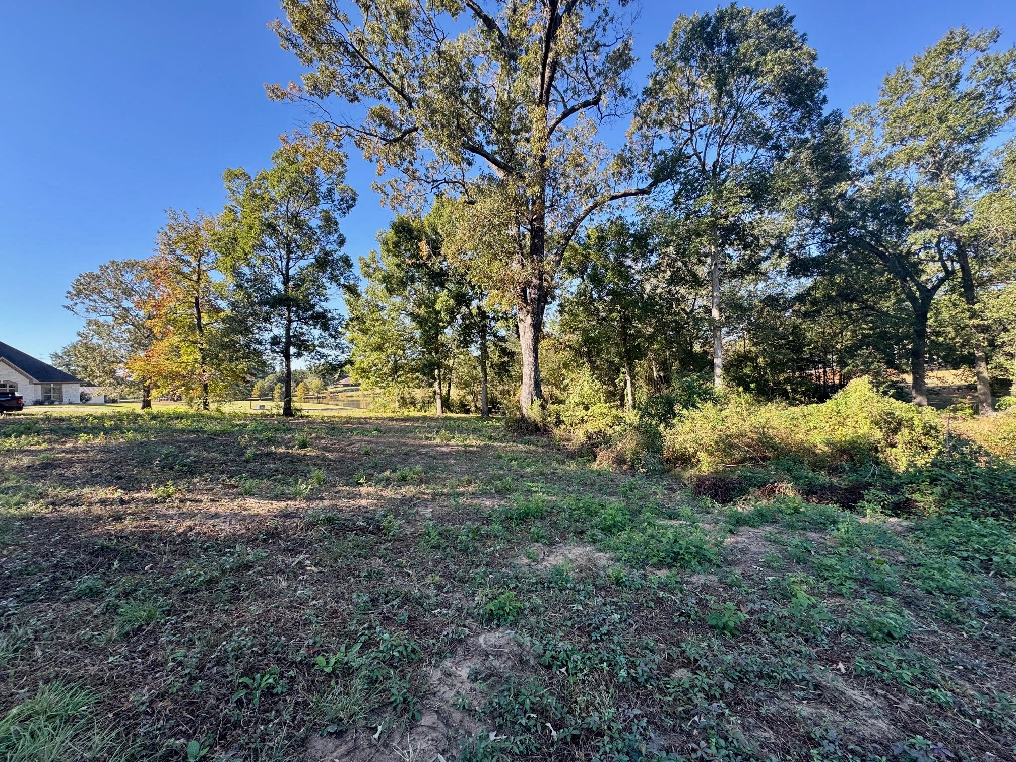 Lot 18 County Road 1216 Pittsburg TX 75686