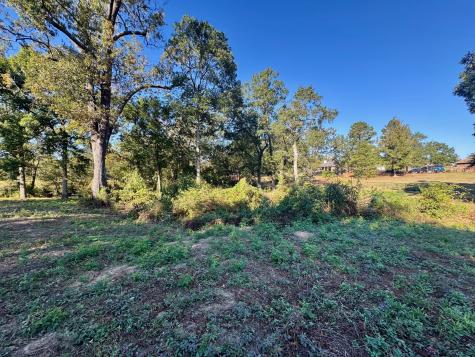 Lot 18 County Road 1216 Pittsburg TX 75686