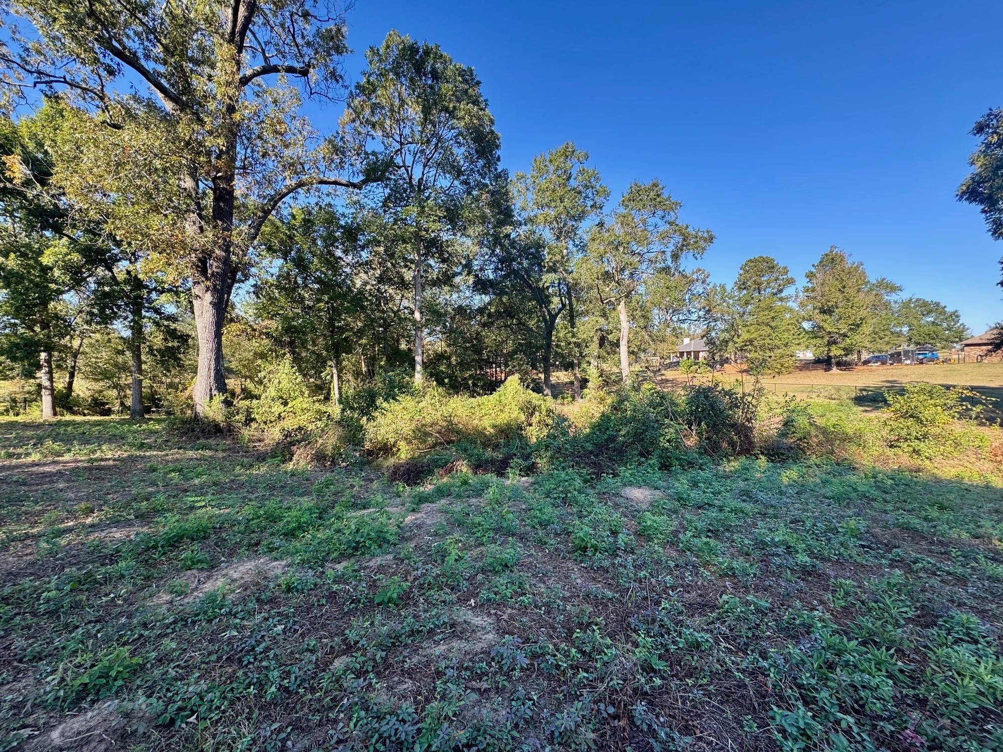 Lot 18 County Road 1216 Pittsburg TX 75686