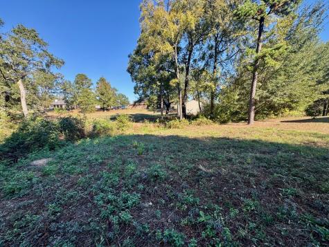 Lot 18 County Road 1216 Pittsburg TX 75686