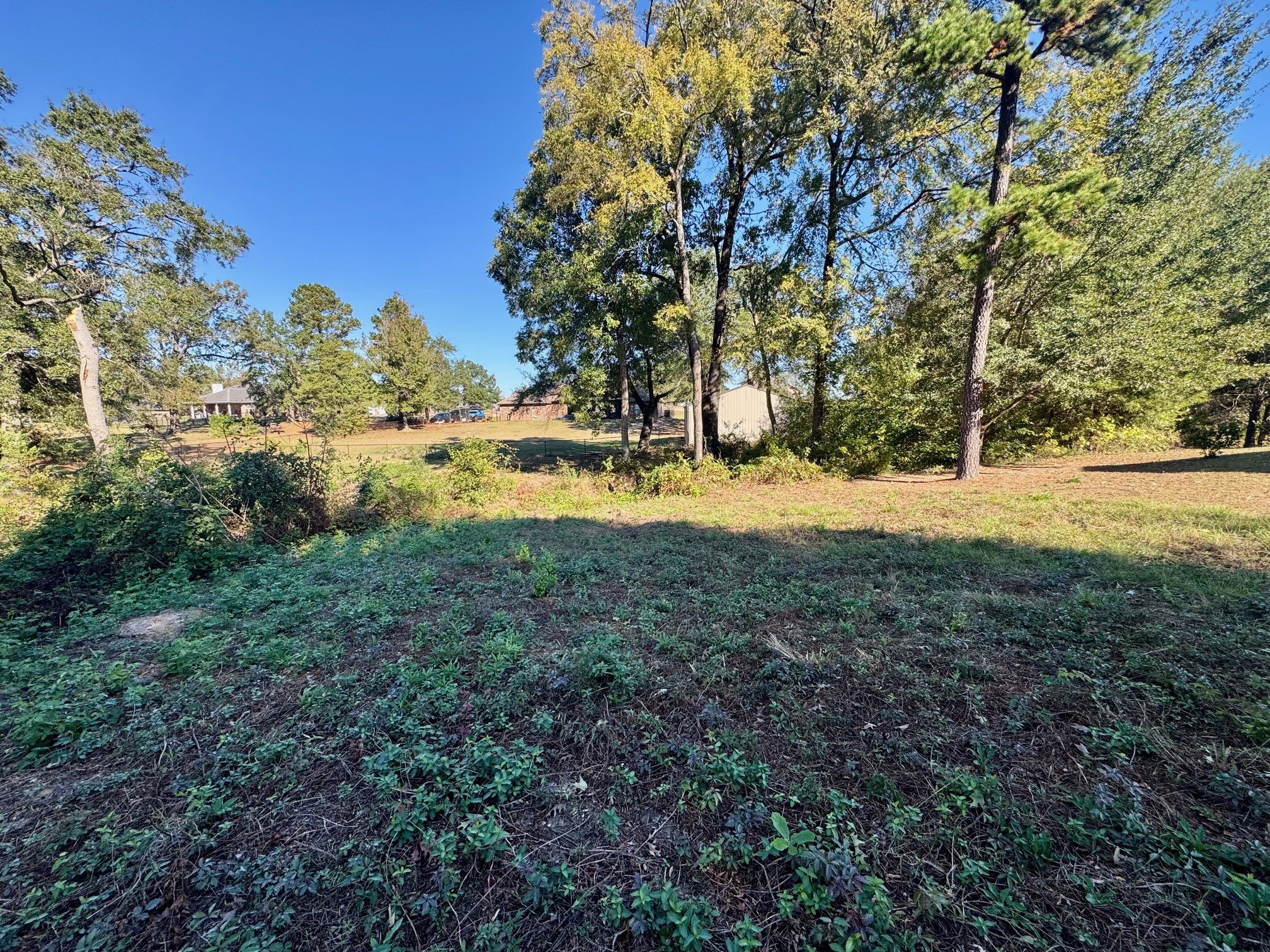 Lot 18 County Road 1216 Pittsburg TX 75686