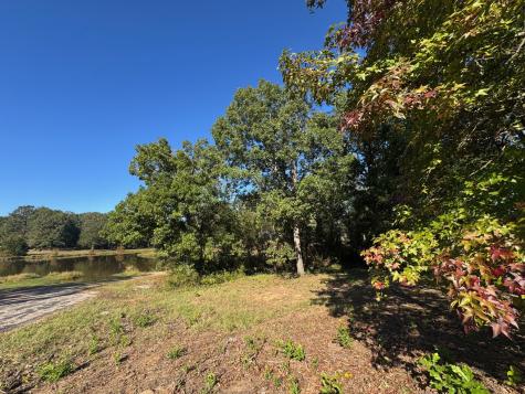 Lot 18 County Road 1216 Pittsburg TX 75686
