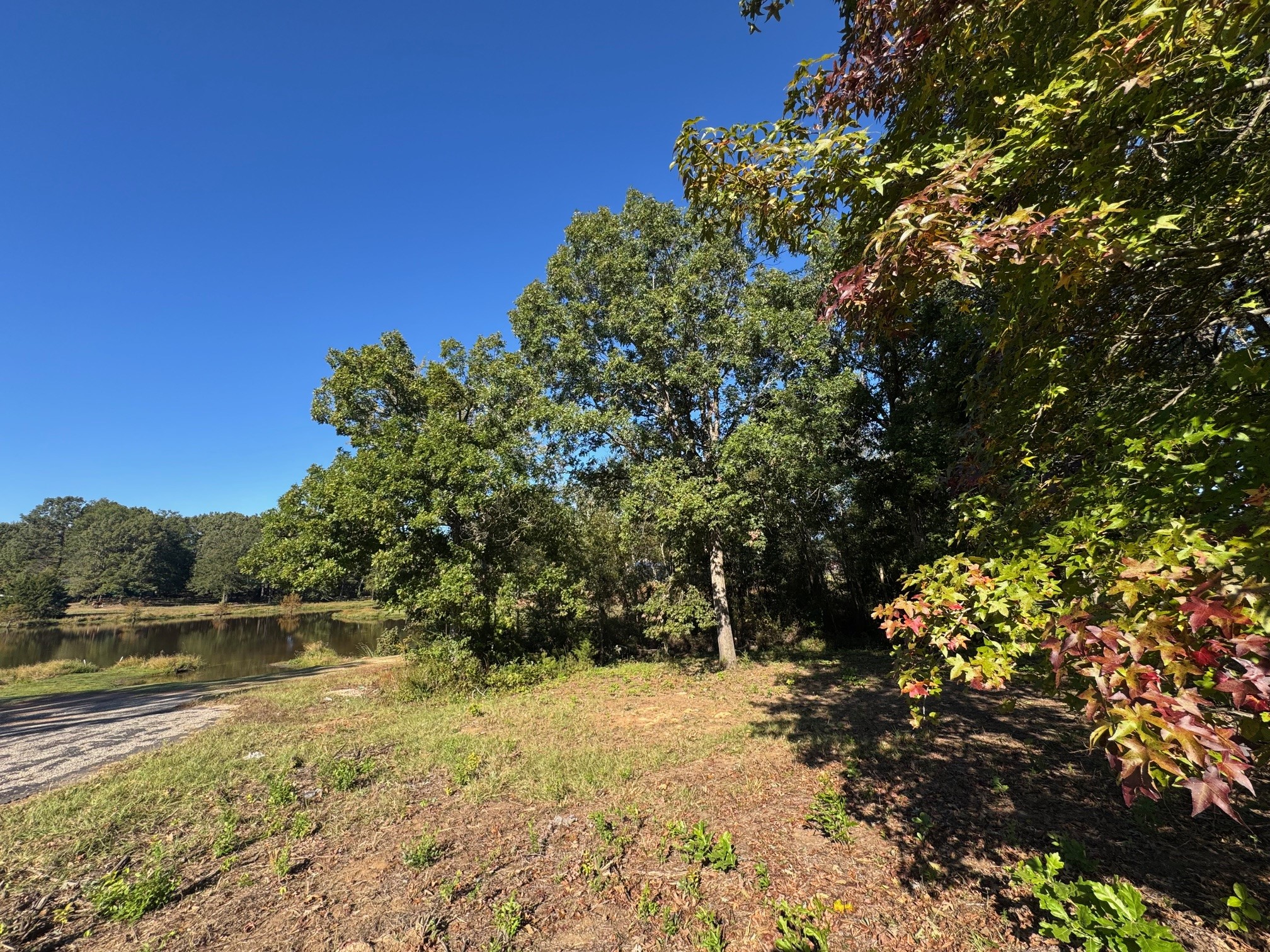 Lot 18 County Road 1216 Pittsburg TX 75686