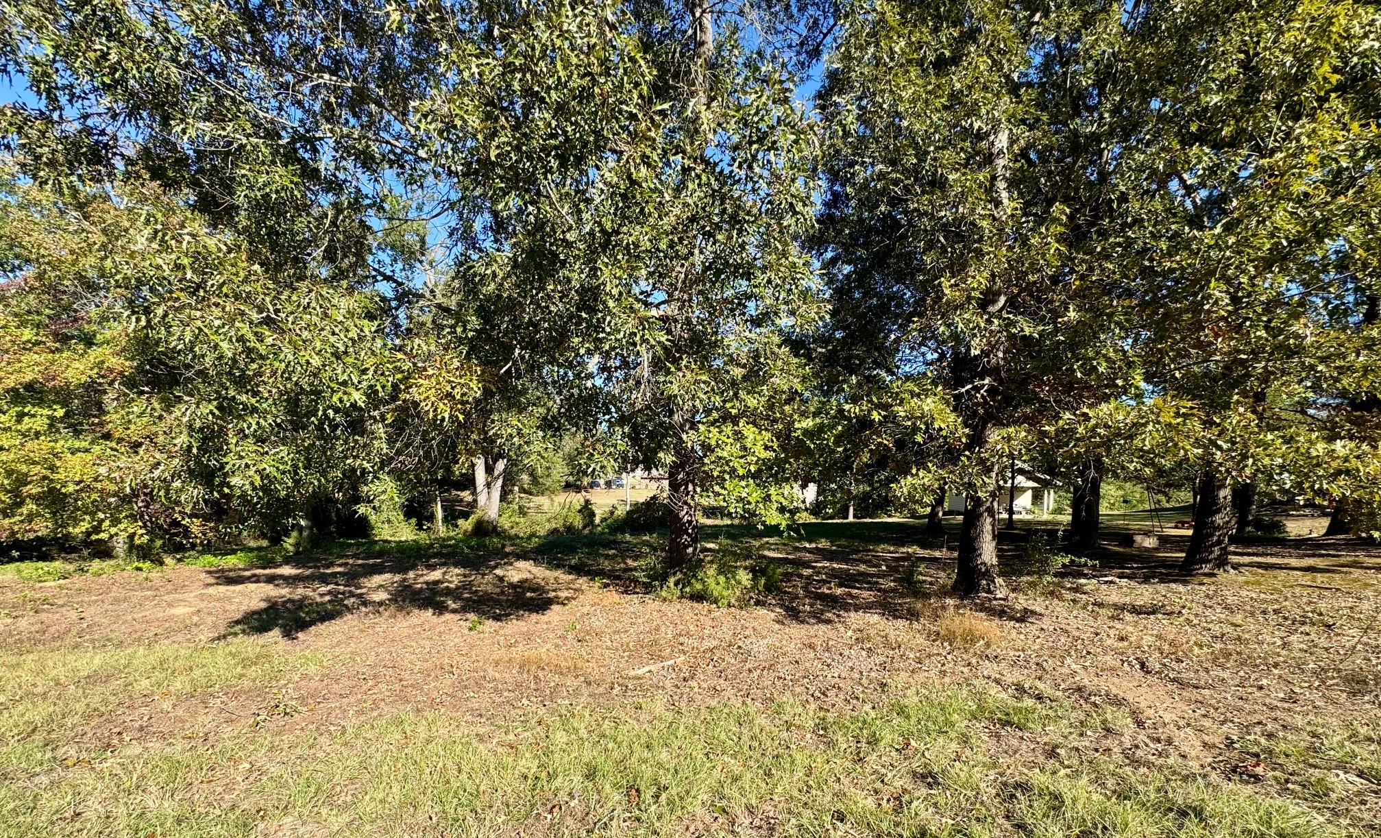Lot 18 County Road 1216 Pittsburg TX 75686