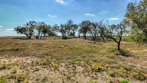 209 Wren View Weatherford TX 76087