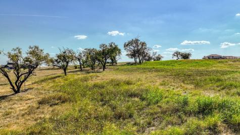 209 Wren View Weatherford TX 76087