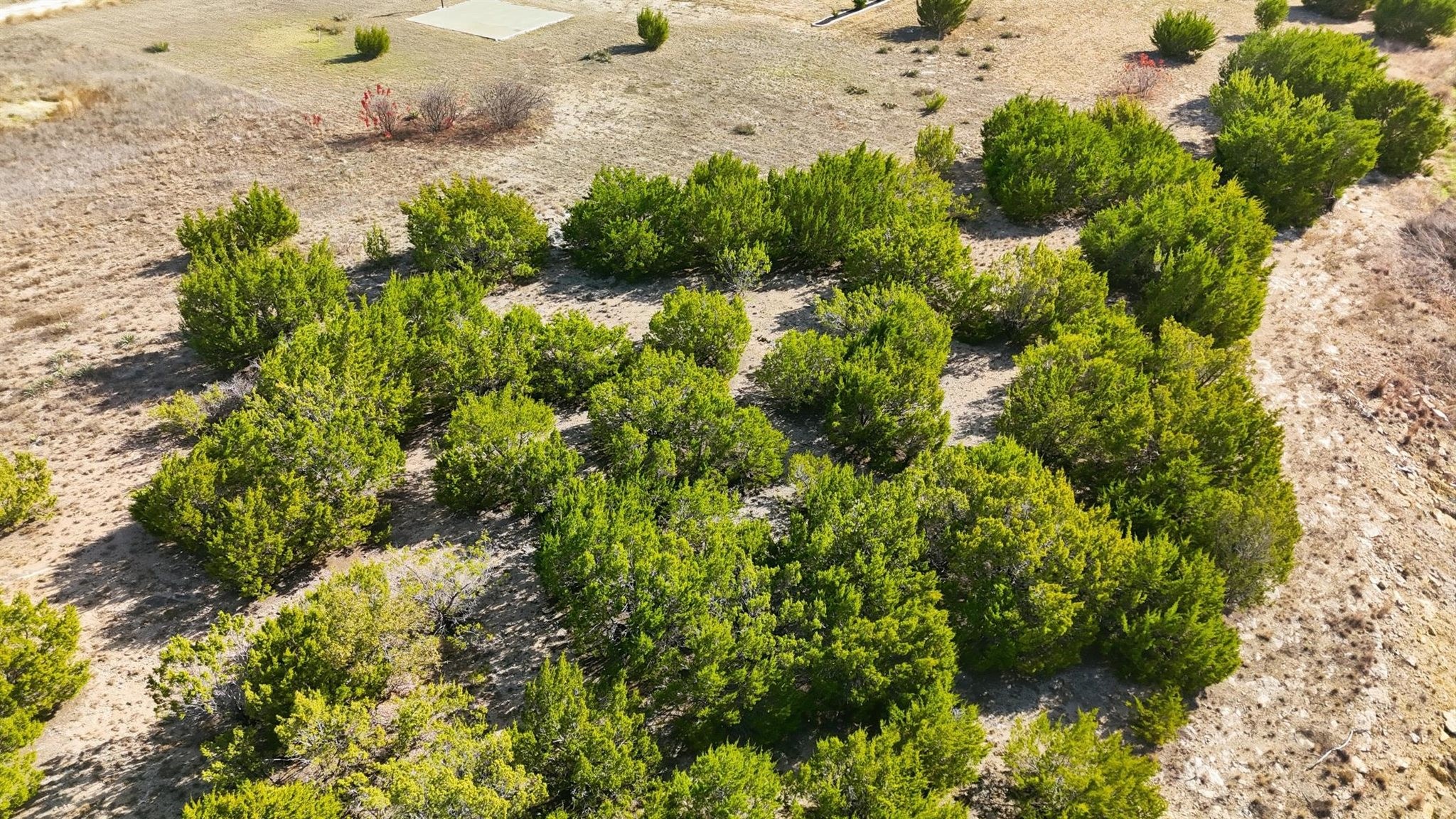 7076 Heathington Boulevard Granbury TX 76049
