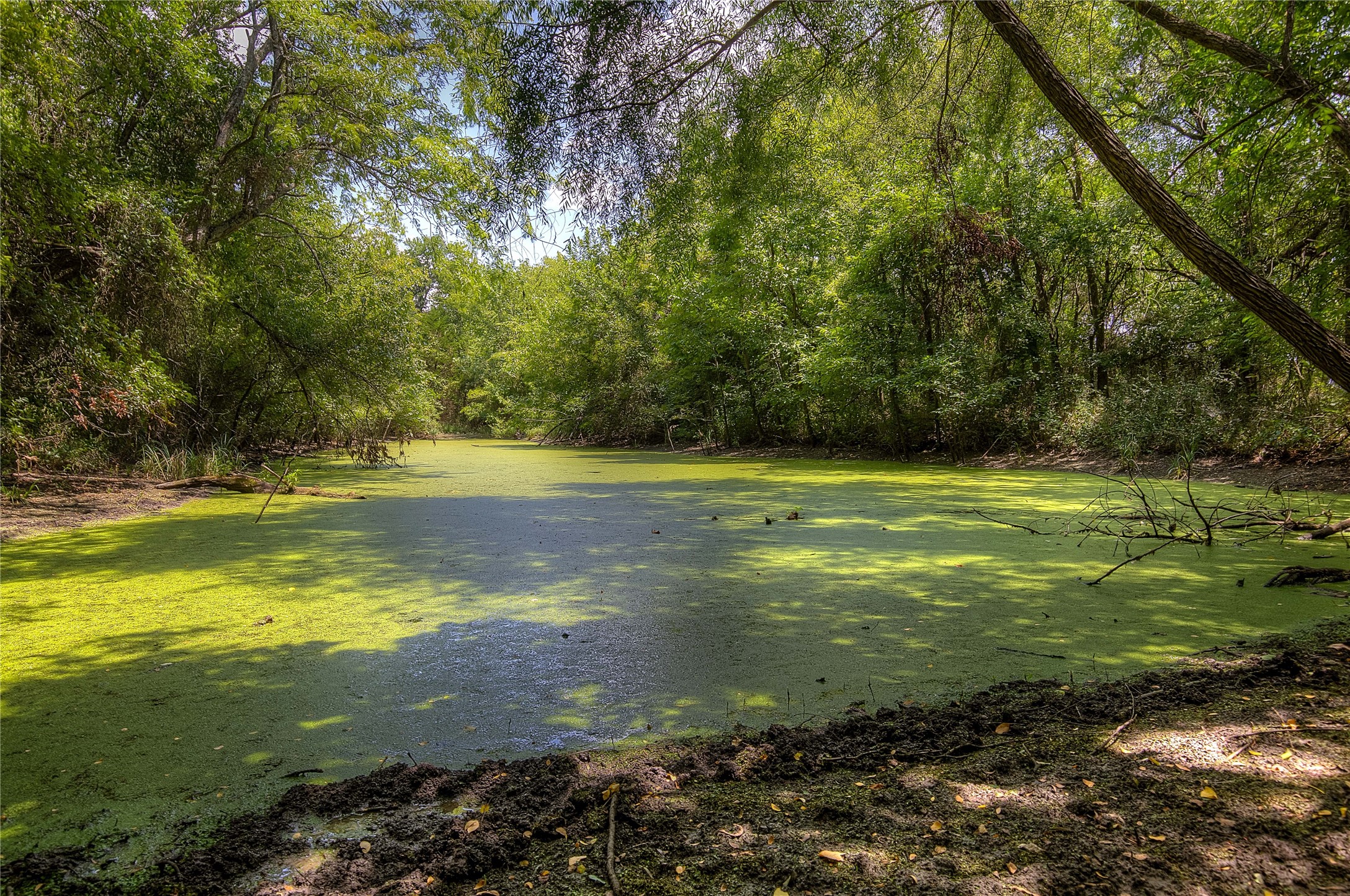 8088 Fm 118 Commerce TX 75428