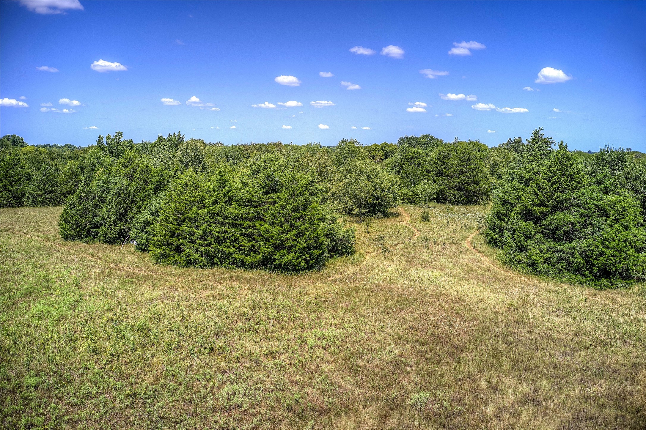 8088 Fm 118 Commerce TX 75428