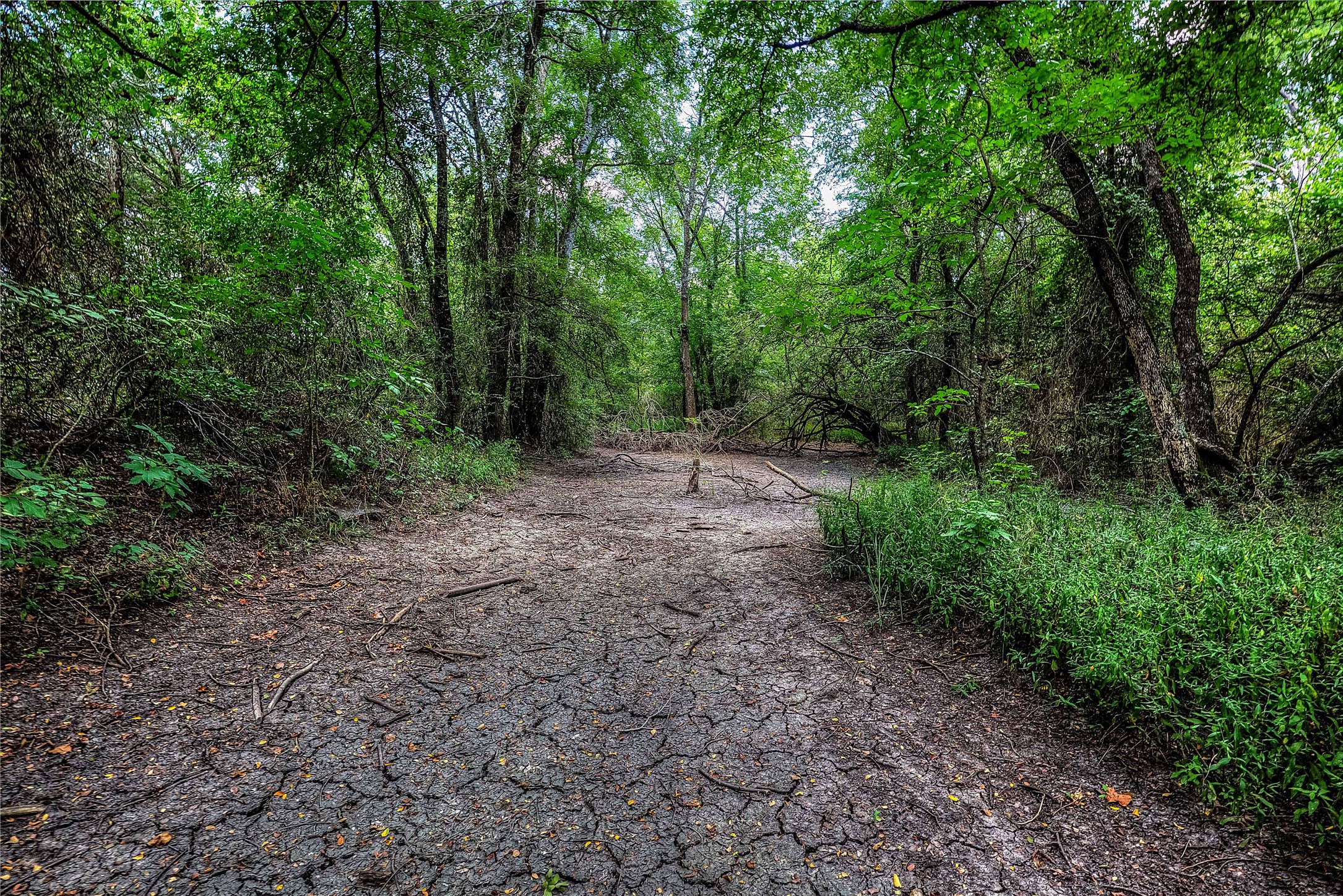 8088 Fm 118 Commerce TX 75428