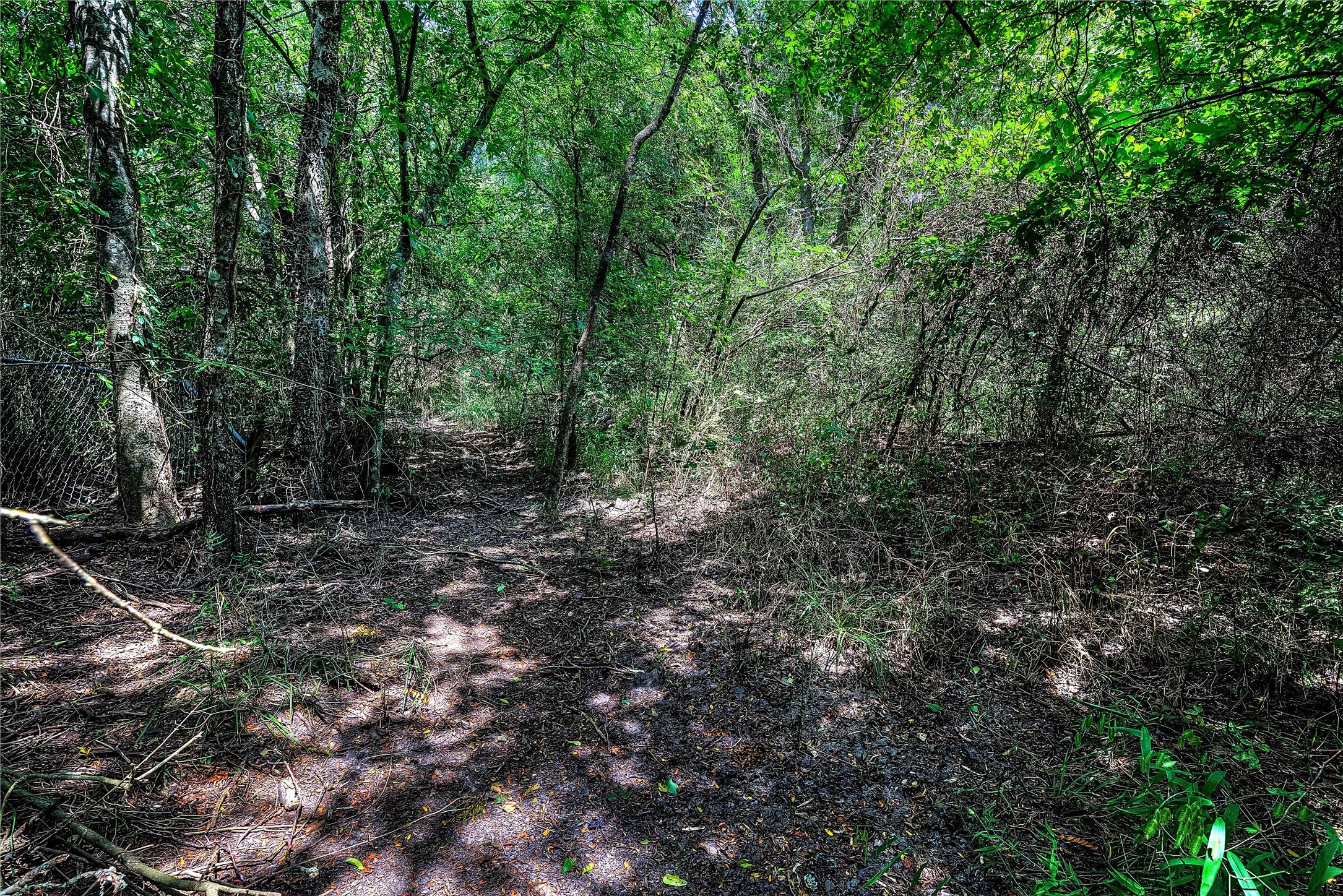 8088 Fm 118 Commerce TX 75428