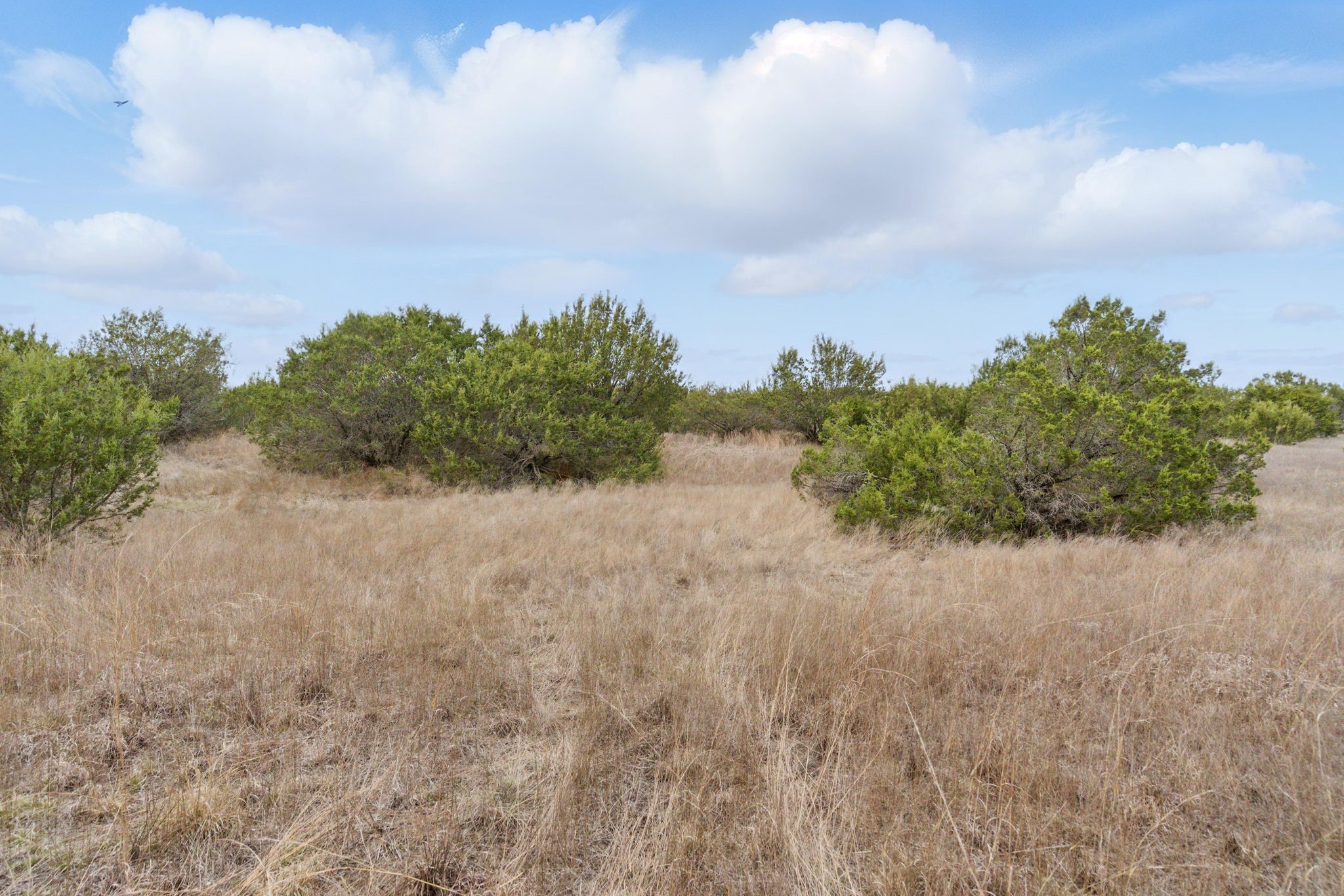 7505 Wd Court Lipan TX 76462