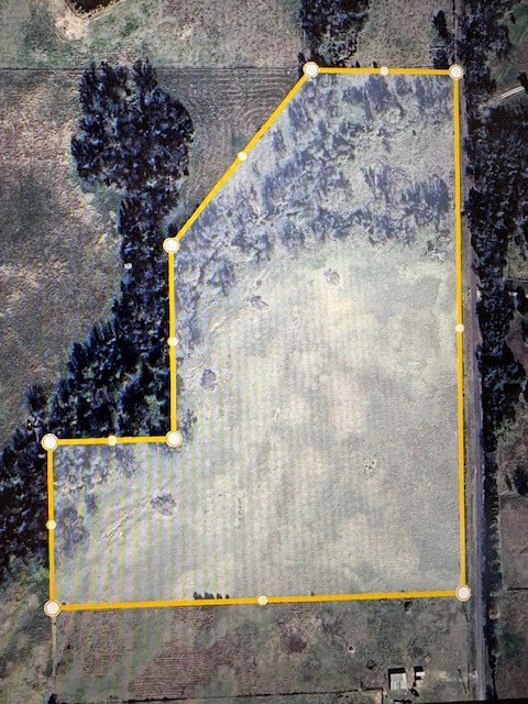 Tbd County Road 1119 Brashear TX 75420