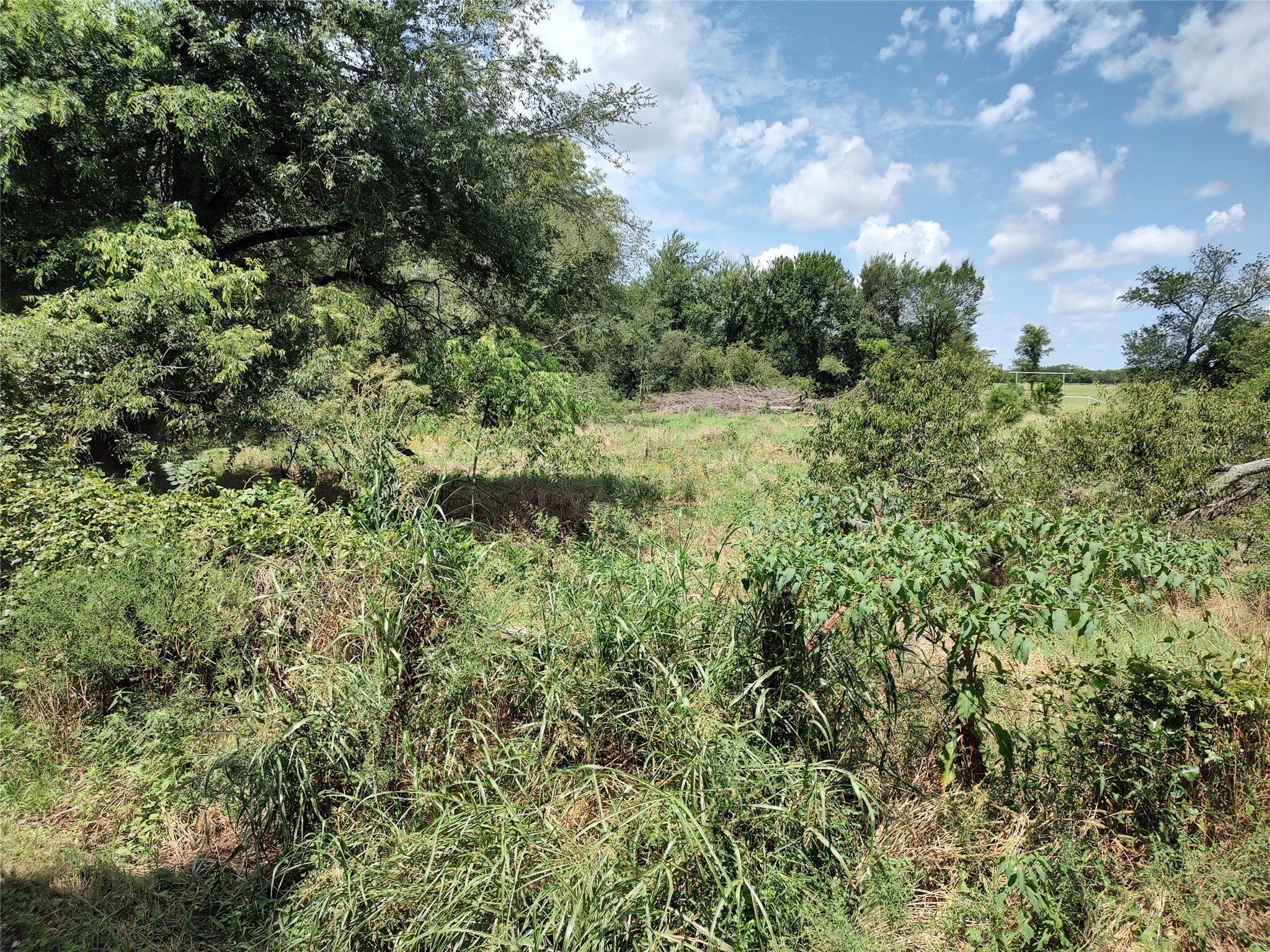 Tbd County Road 1119 Brashear TX 75420