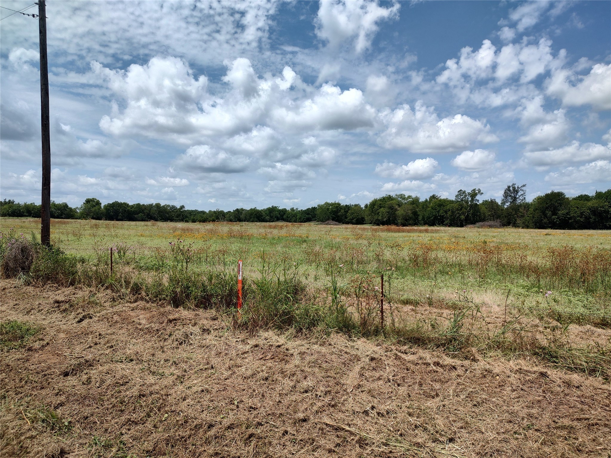 Tbd County Road 1119 Brashear TX 75420