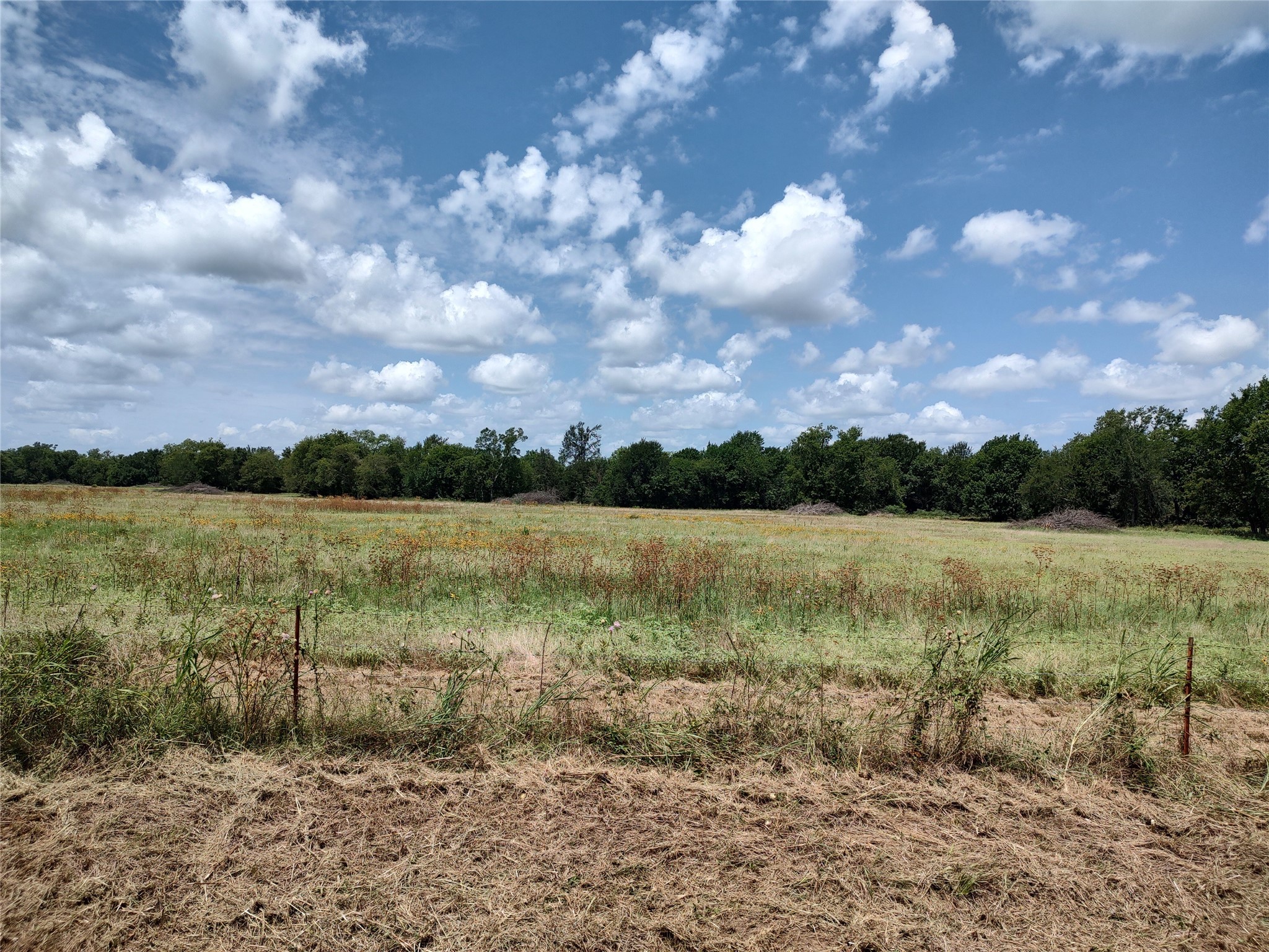 Tbd County Road 1119 Brashear TX 75420