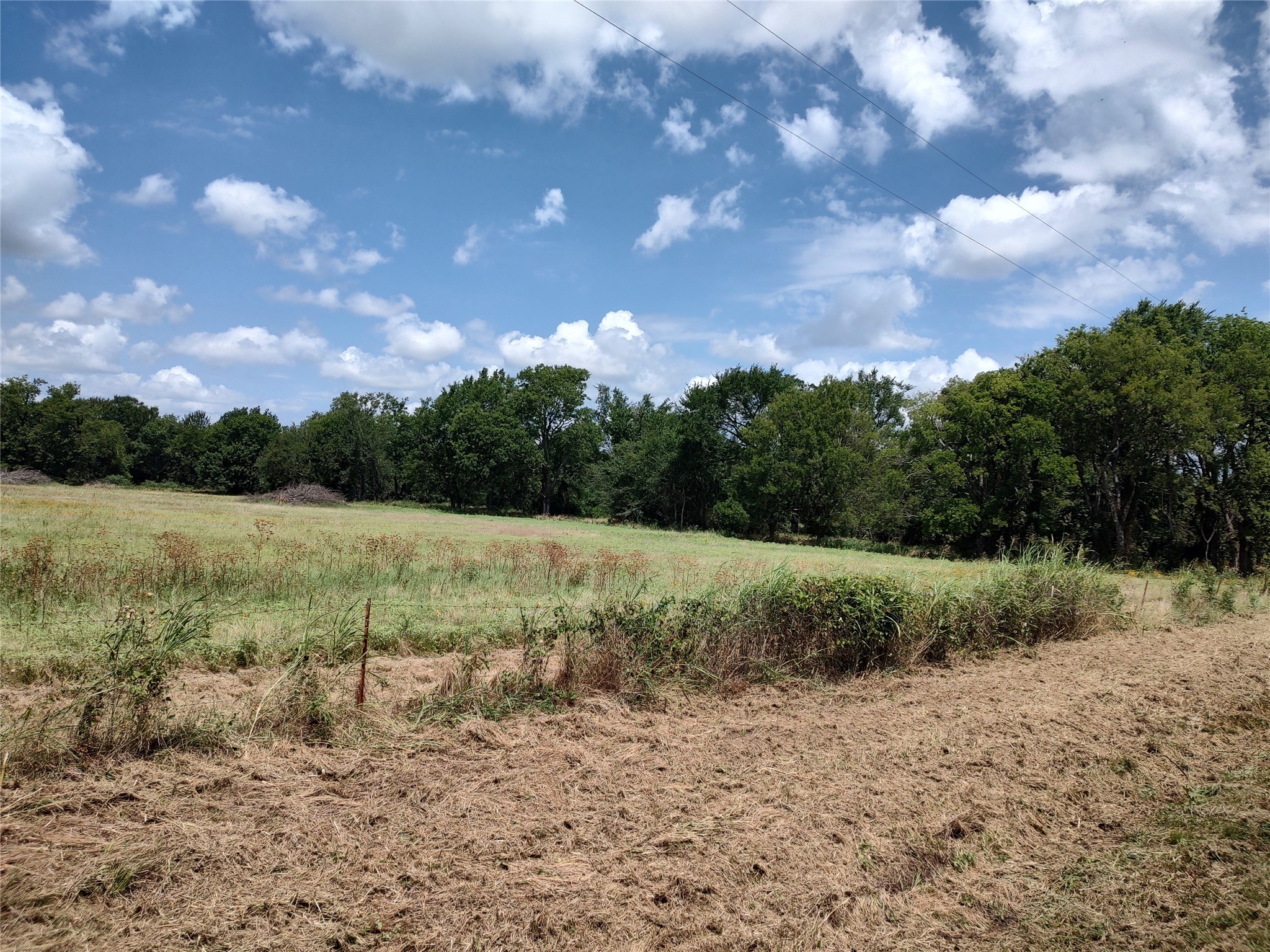 Tbd County Road 1119 Brashear TX 75420